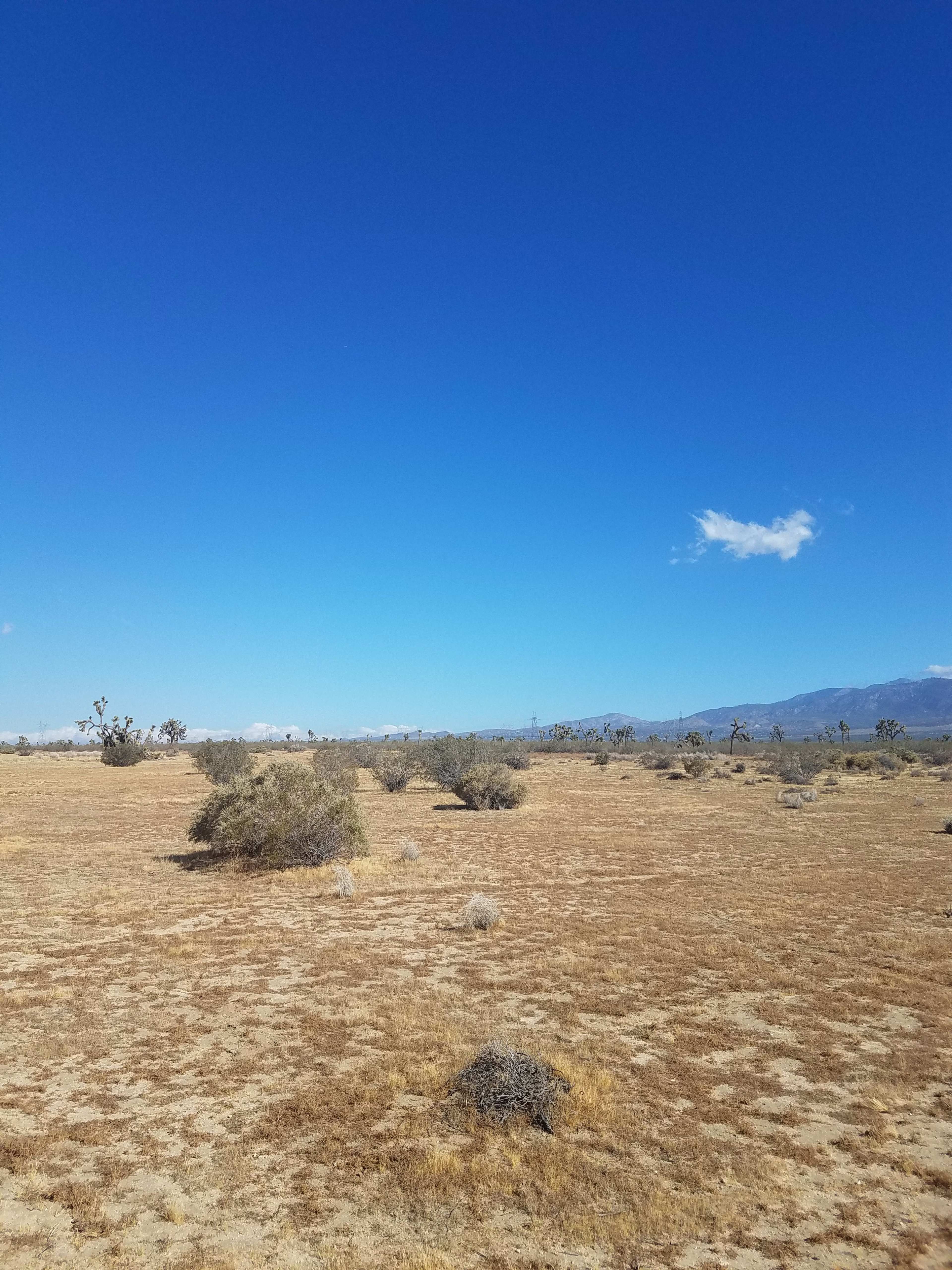 A barren landscape features scattered shrubs under a clear blue sky.