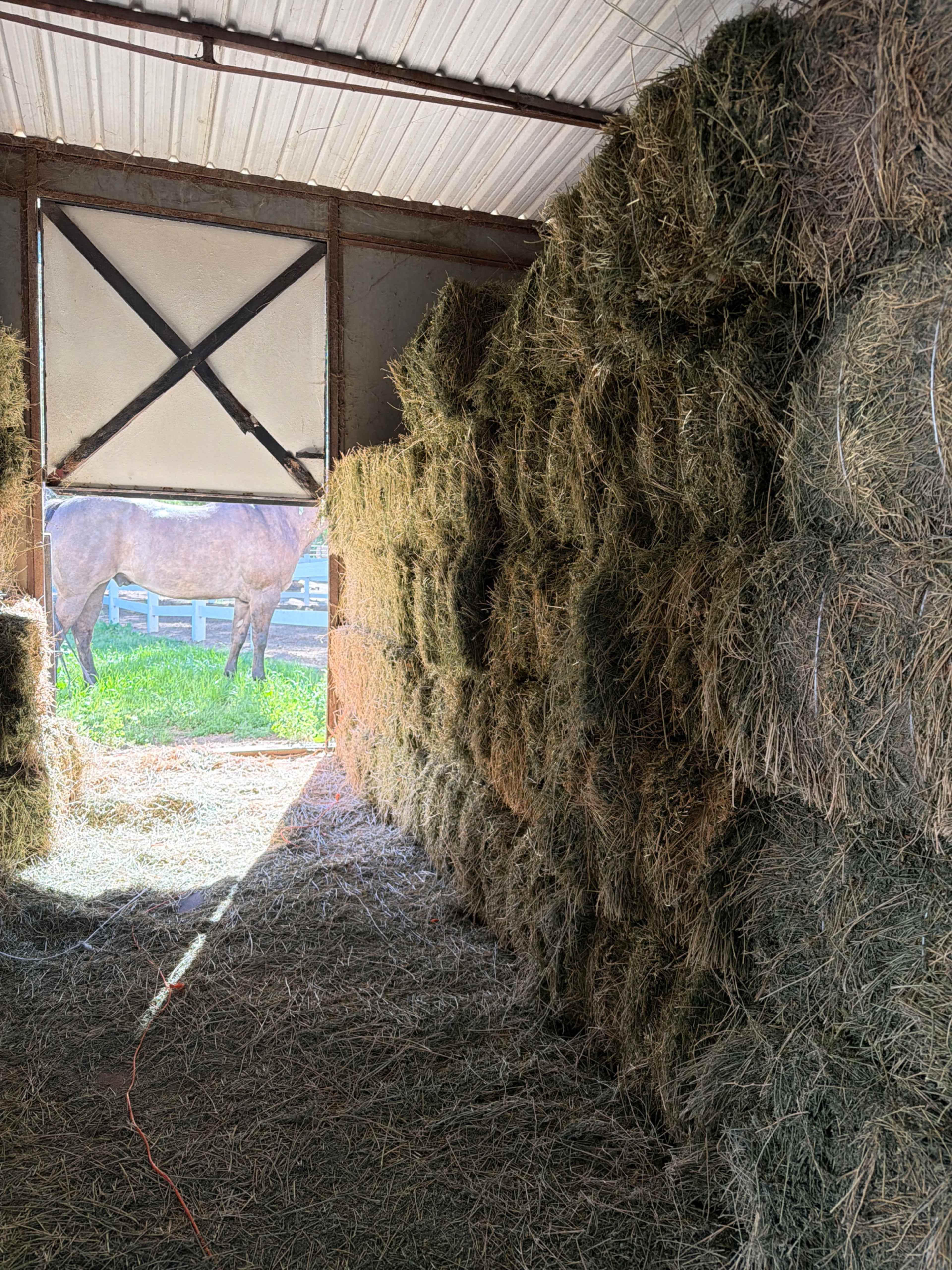 The image shows a barn interior filled with neatly stacked hay bales, with a view of a horse visible through the open door.