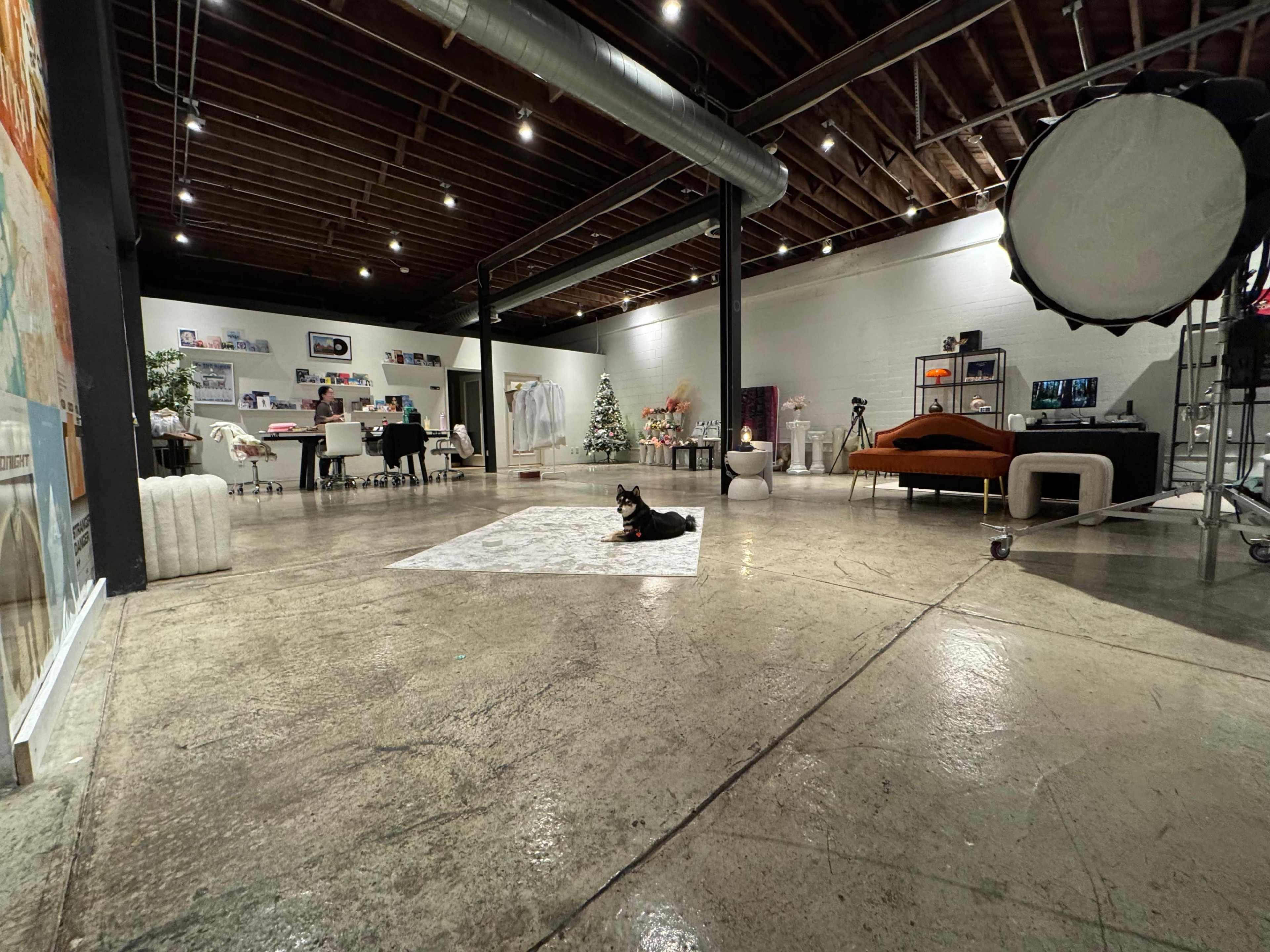 The image shows a spacious, modern office interior with a central area featuring a dog lying on a rug, surrounded by workstations and decor, including a Christmas tree.