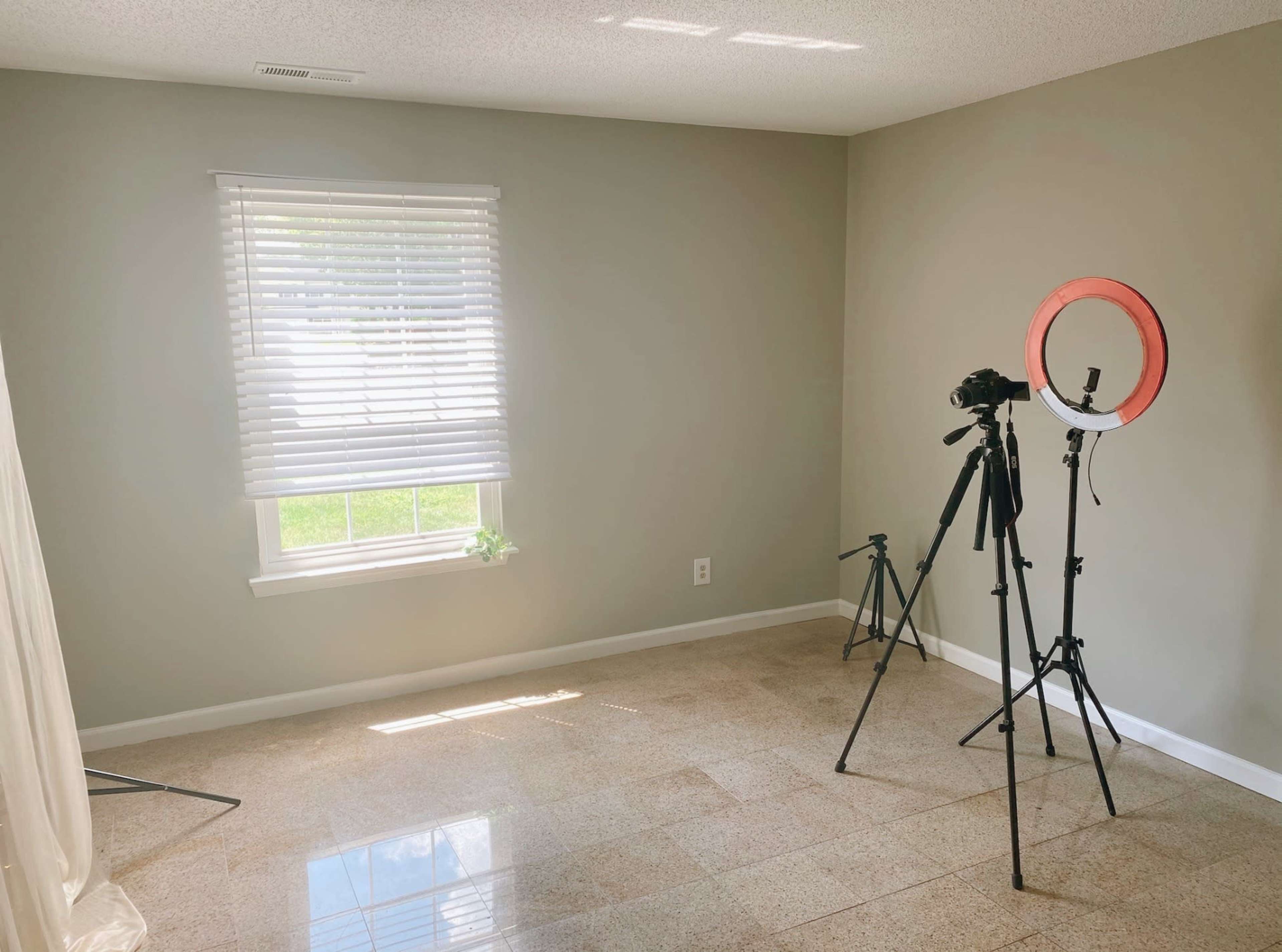 A well-lit room with light-colored walls features a window, a small plant on the sill, and a camera setup with a ring light on tripods.