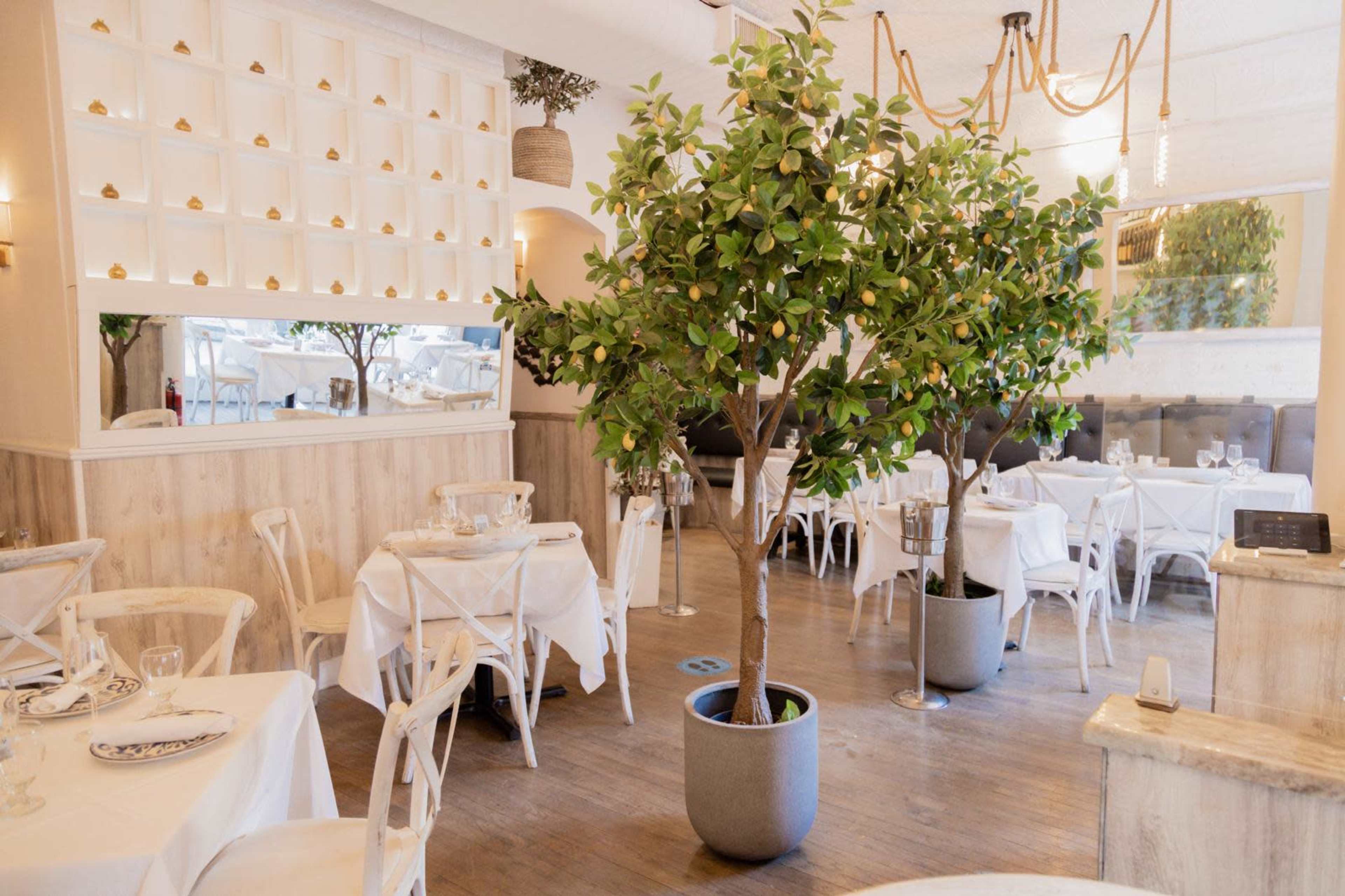 The image shows a bright restaurant interior with white tablecloths, indoor trees, and a modern décor featuring wood and mirrors.