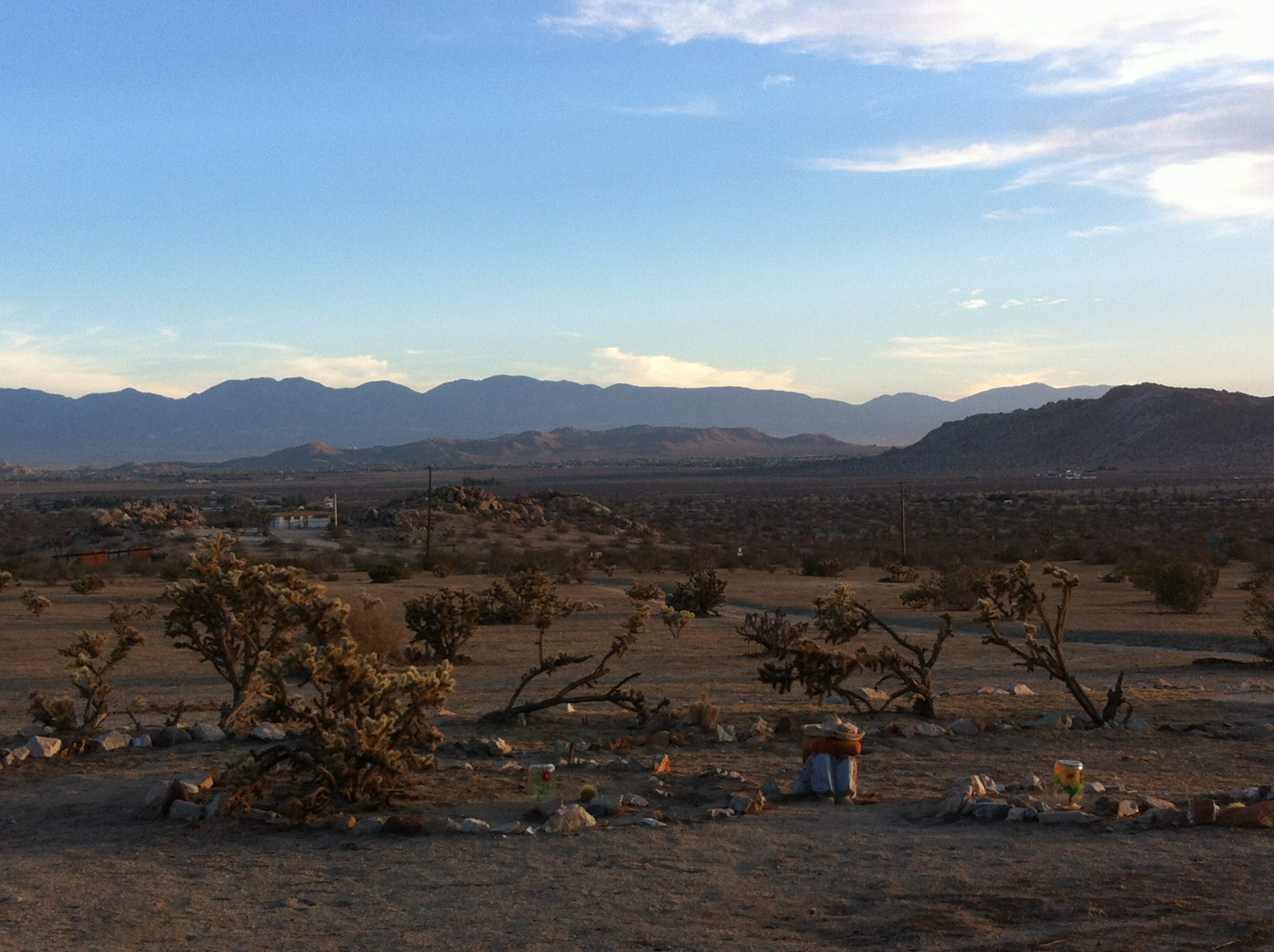 The image shows a desert landscape with sparse vegetation, rocky terrain, and distant mountains under a clear sky.