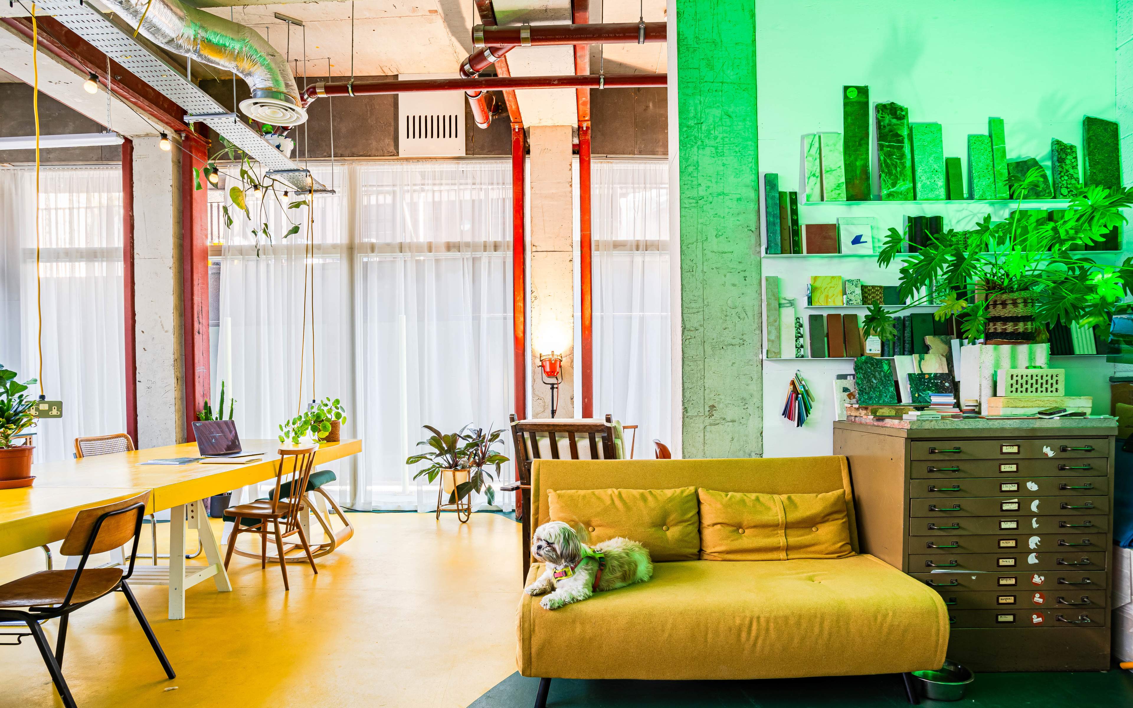 Open Bright Photography Space Image in Hackney, London, ENG