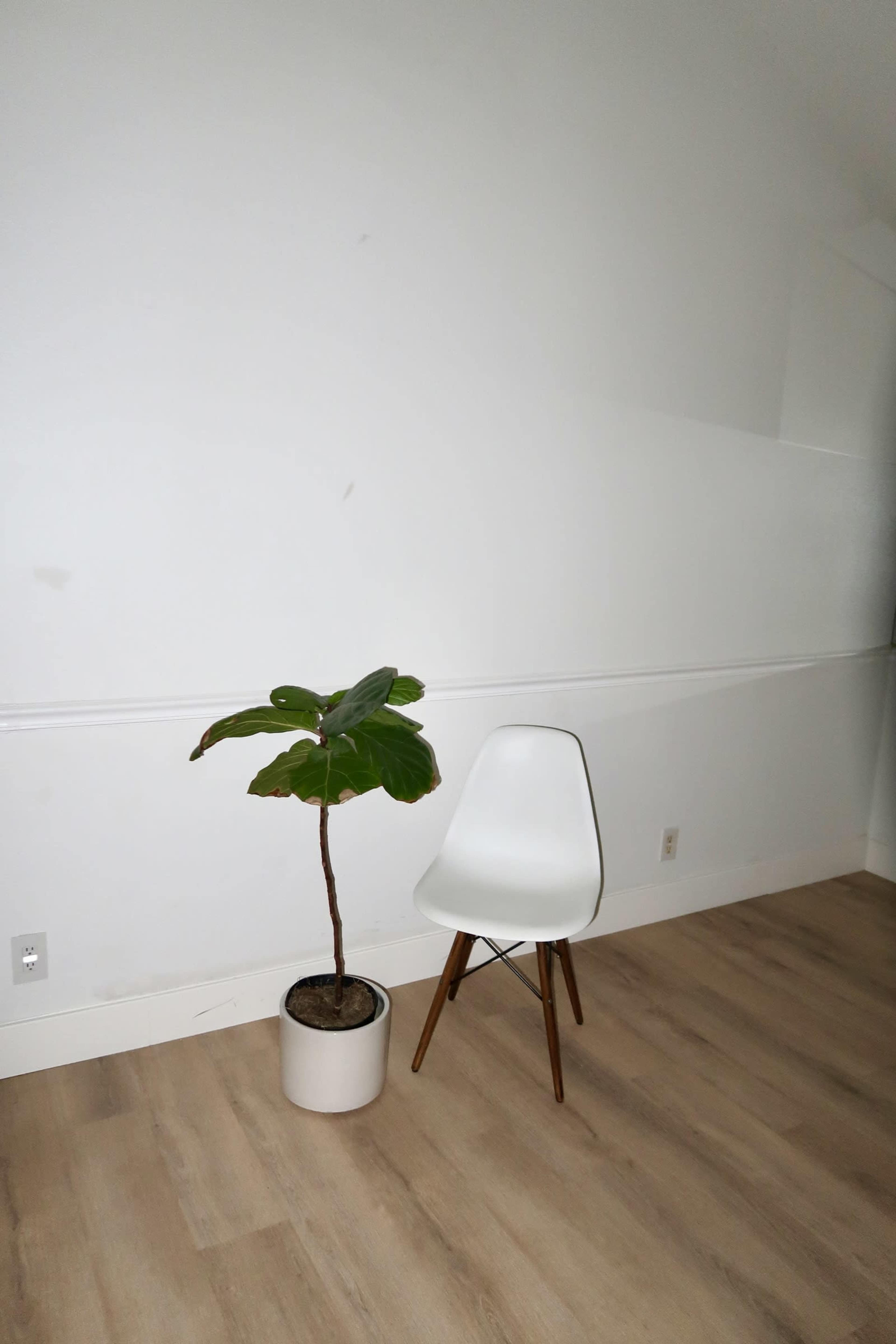 Modern Natural Light Apartment Loft for Photo/Video Shoots + Outdoor Space Image in West Hills, Los Angeles, CA