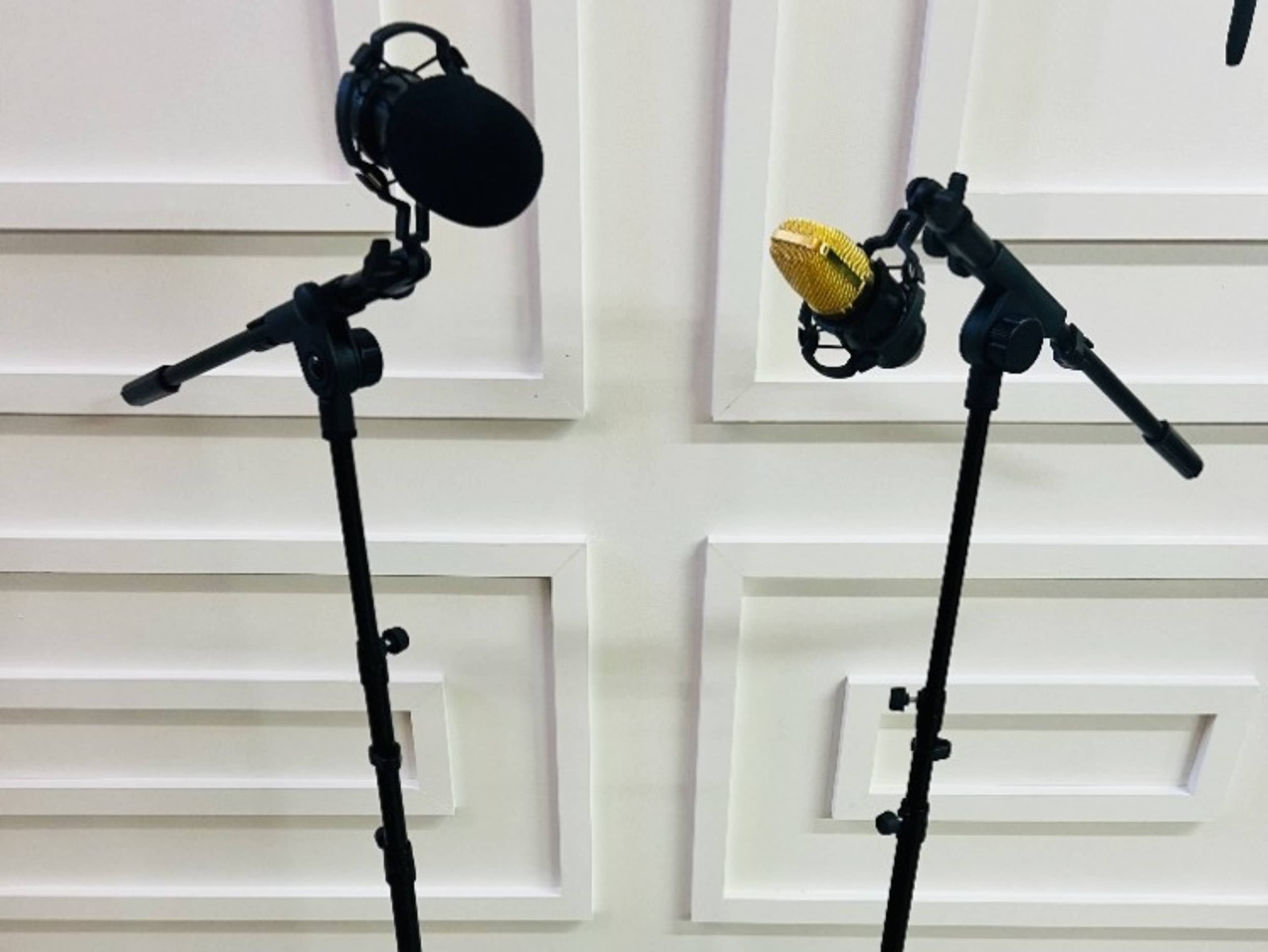 Podcast Mic PROPS (set of 2)