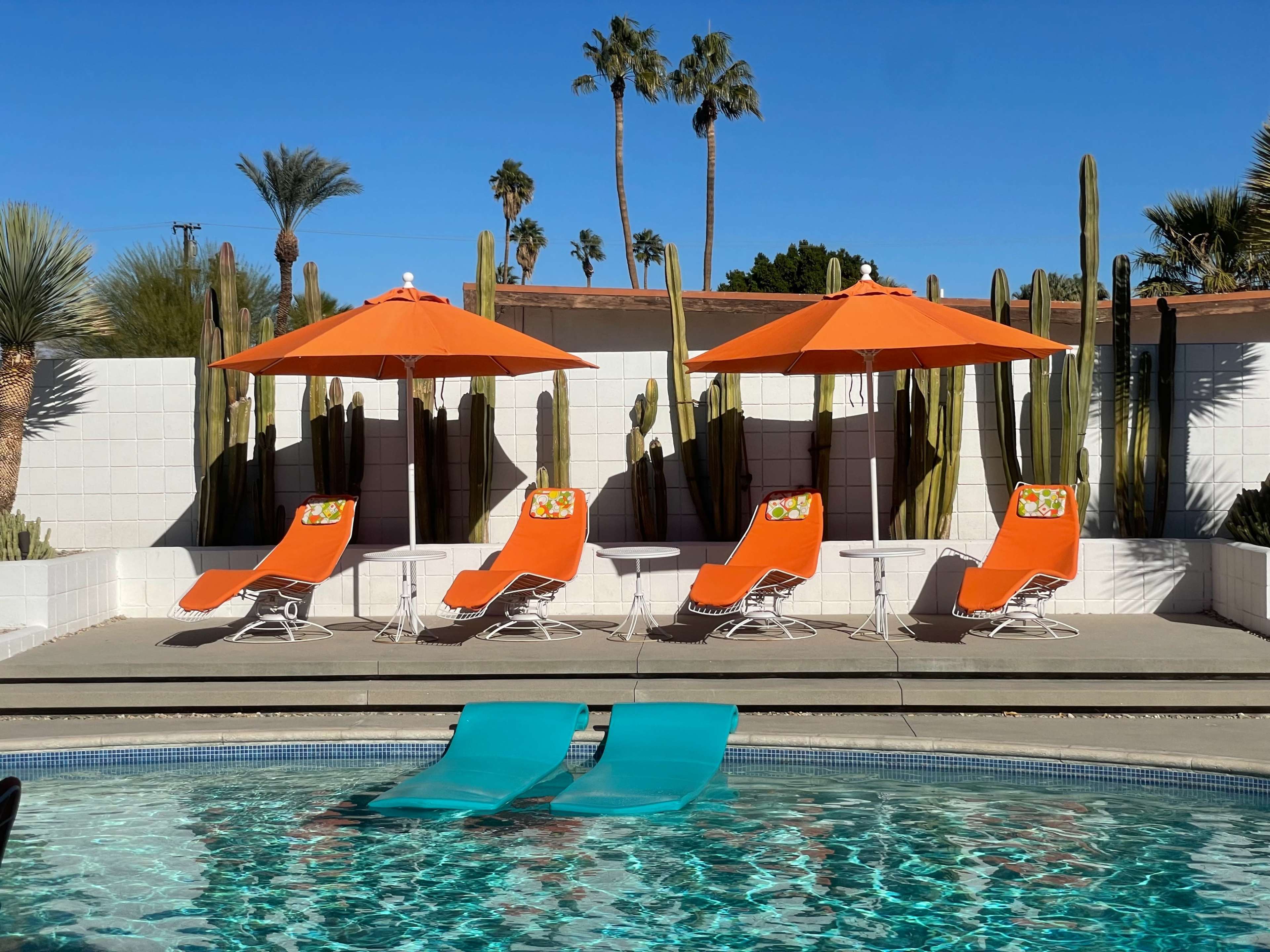 The scene features a swimming pool surrounded by four orange loungers and umbrellas, with tall cacti and palm trees in the background.