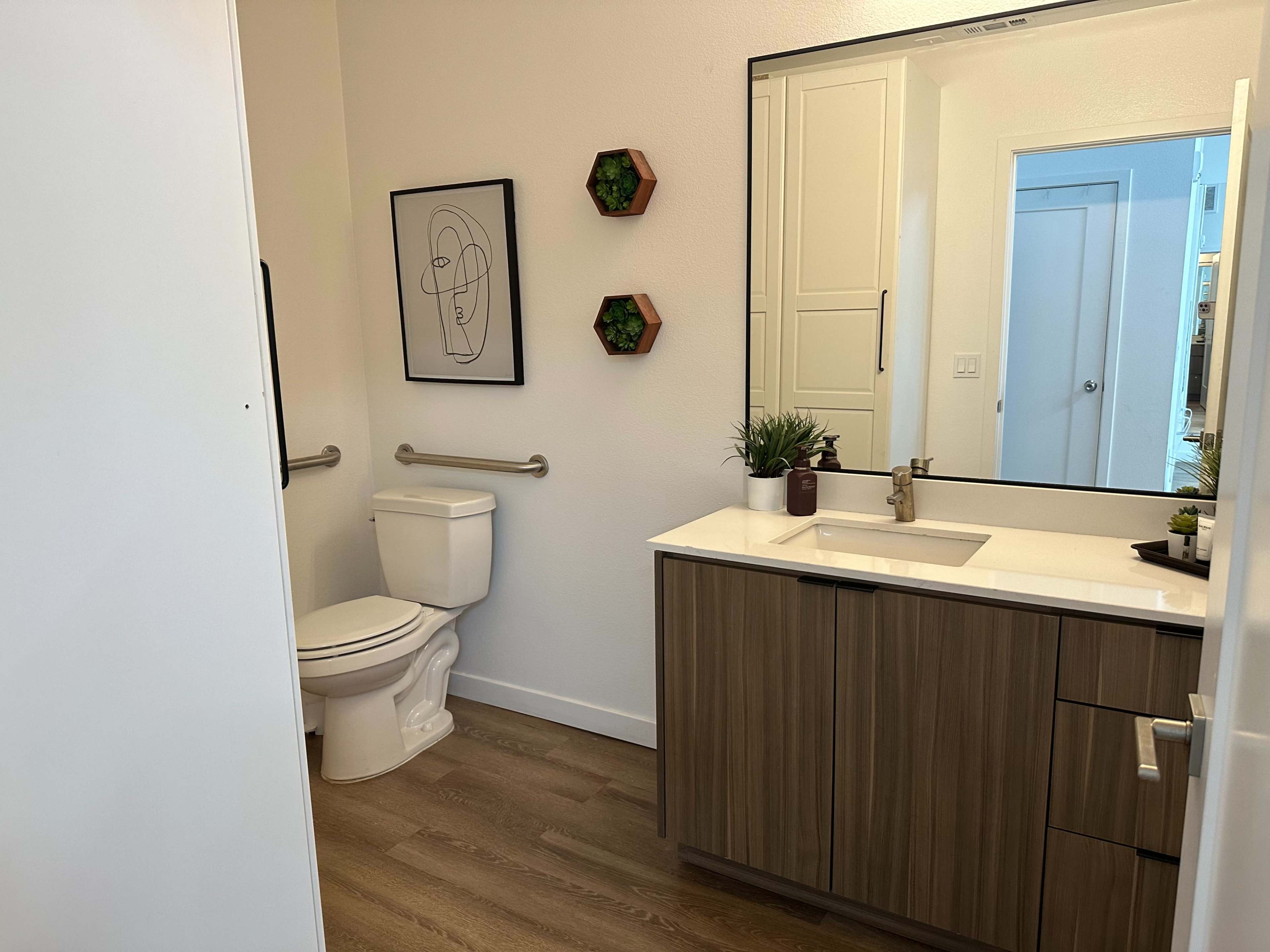 A modern bathroom featuring a toilet, a wooden cabinet with a sink, a large mirror, and wall decor including framed art and planters.