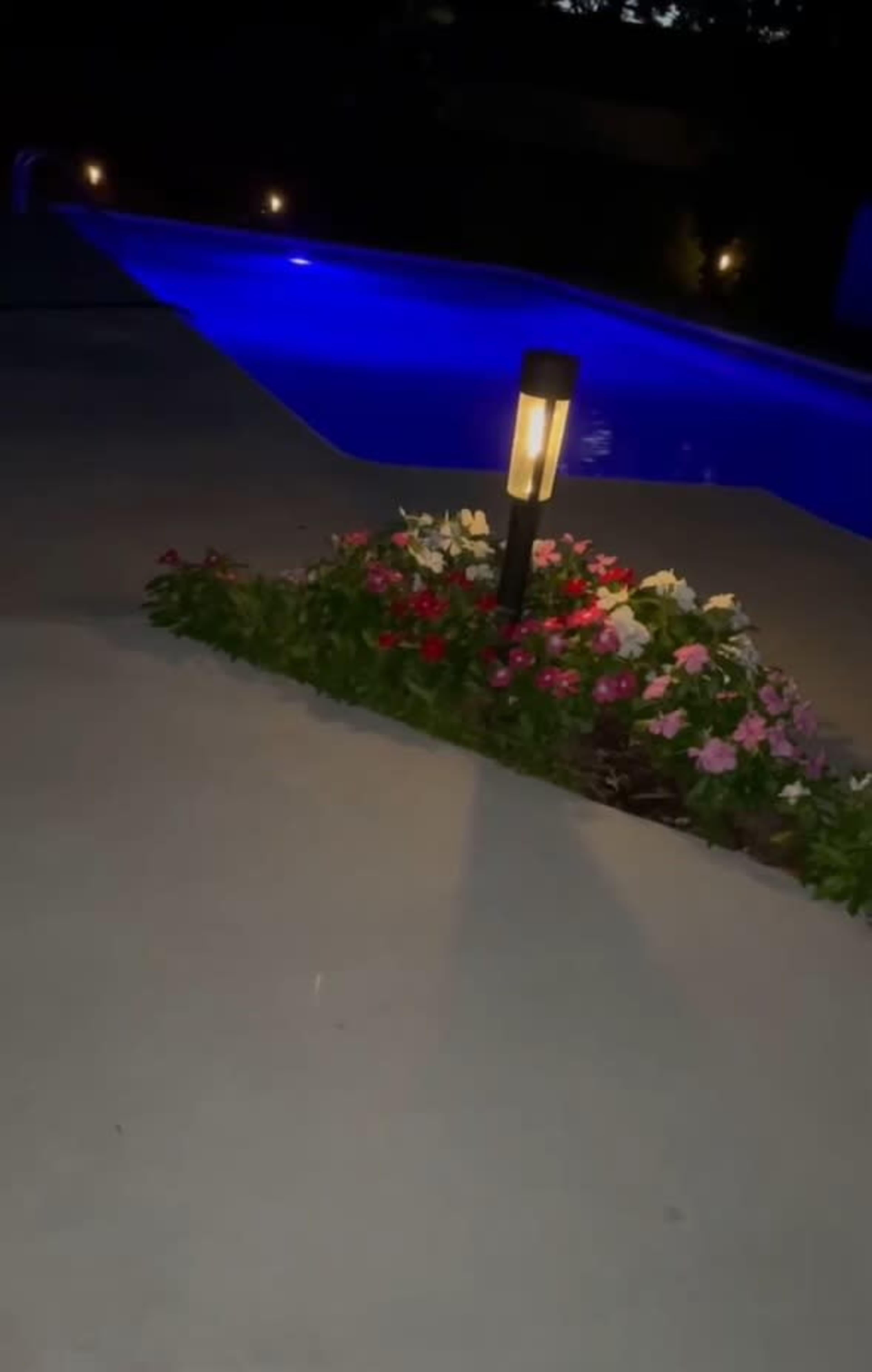 A pathway light illuminates a flower bed beside a pool with blue water.