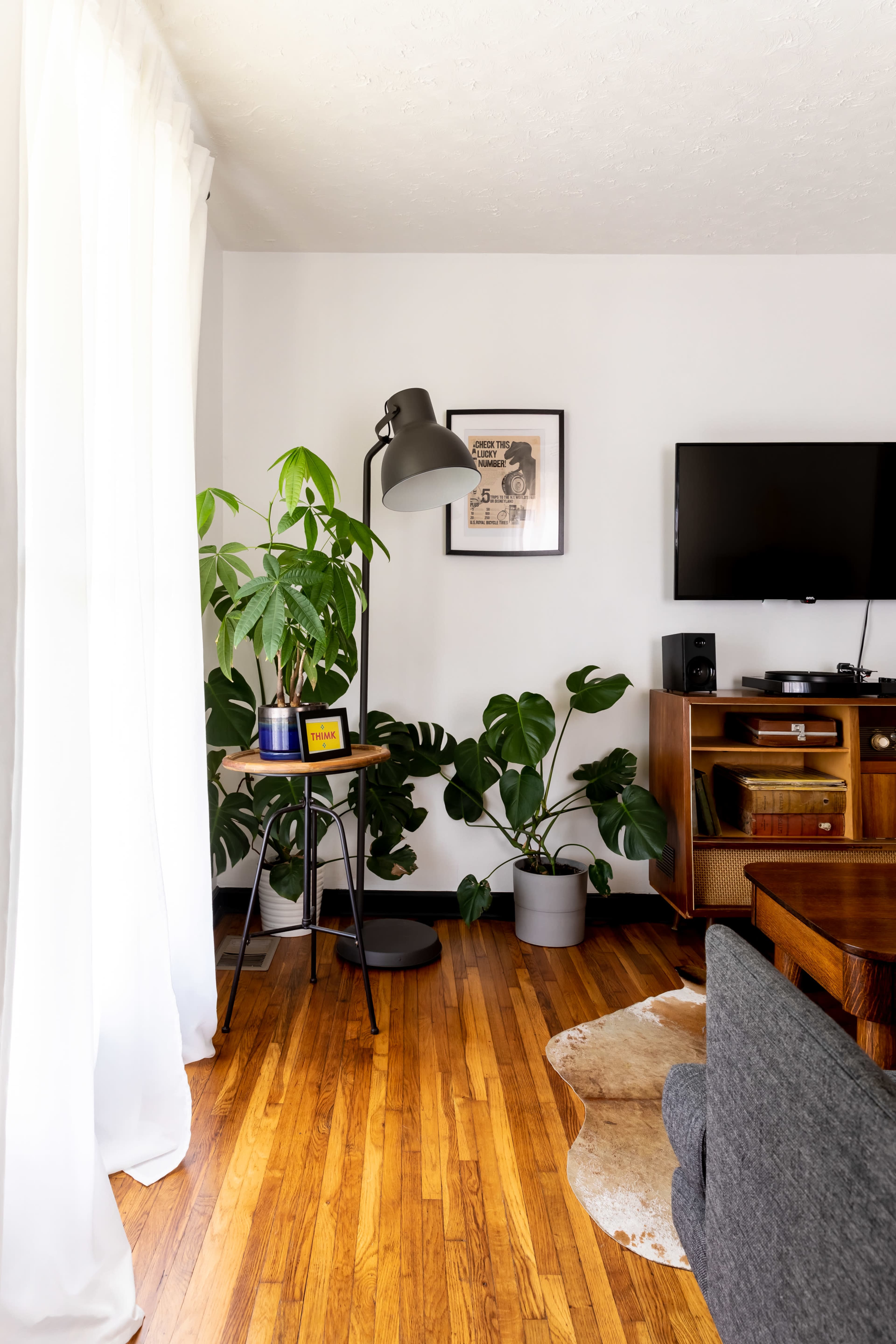A cozy living room features a floor lamp beside a potted plant, a framed poster on the wall, a television, and wooden furniture.