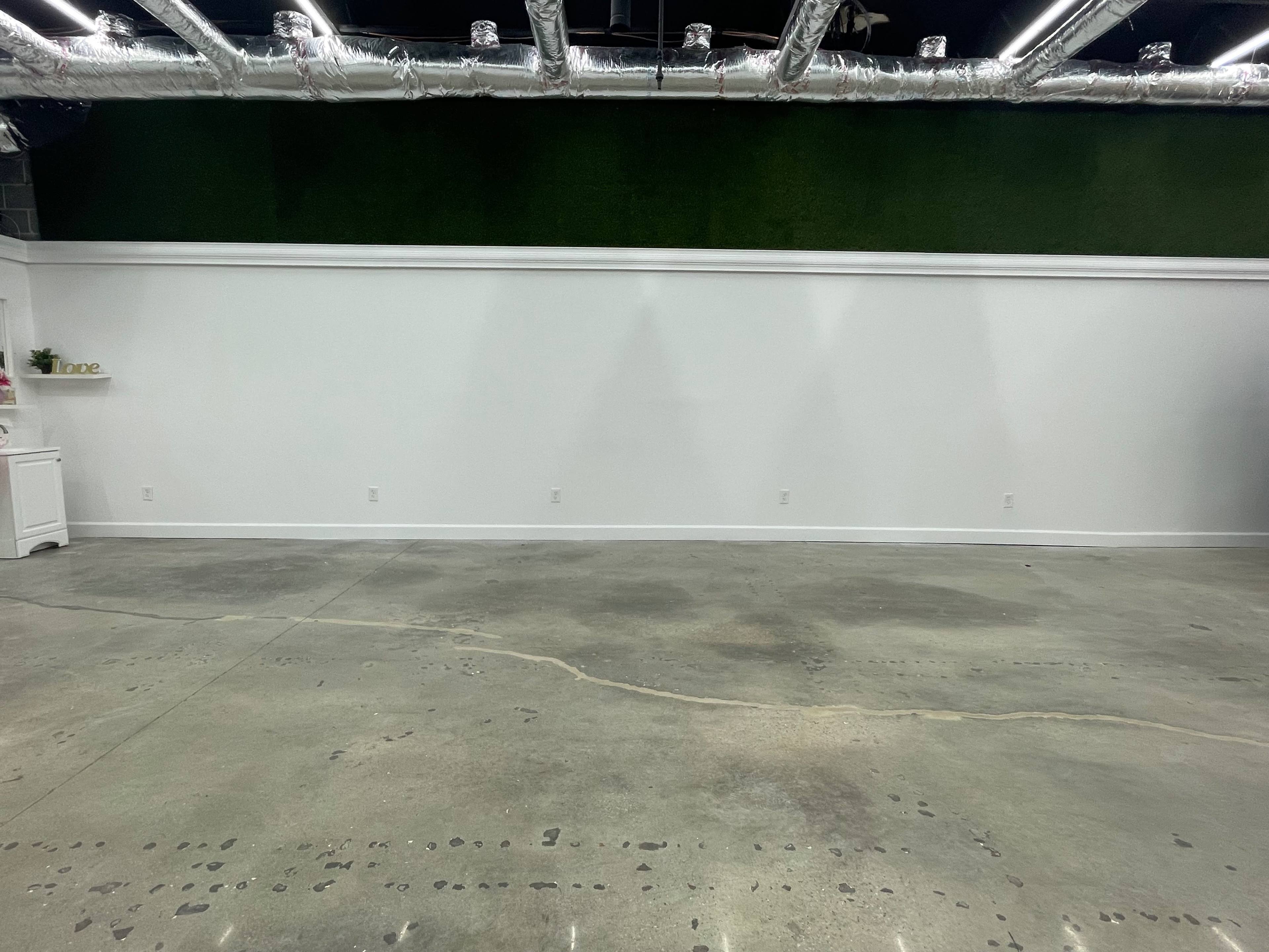 A spacious room with a concrete floor, a white wall, and a dark green grass-like wall above it.