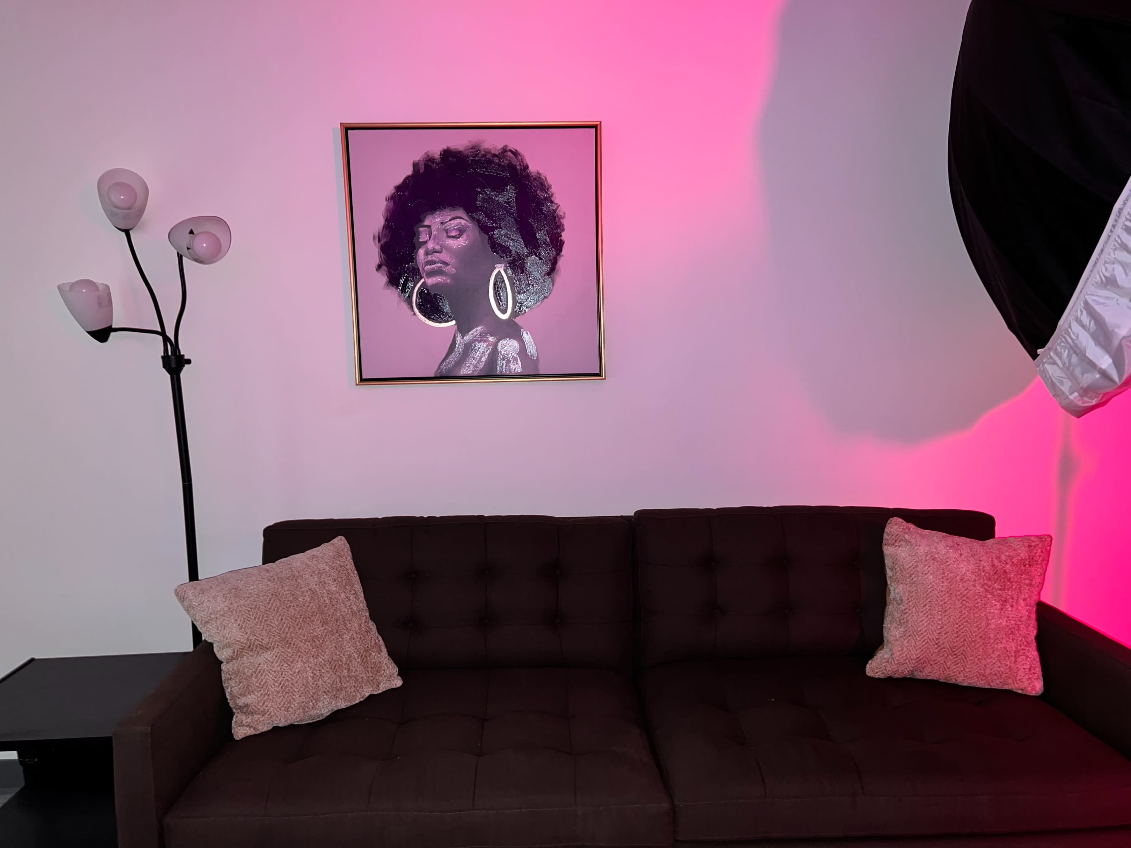 The image features a brown sofa with two decorative pillows, positioned beneath a wall-mounted artwork of a woman, while a floor lamp is situated nearby and a lighting umbrella is visible in the scene.
