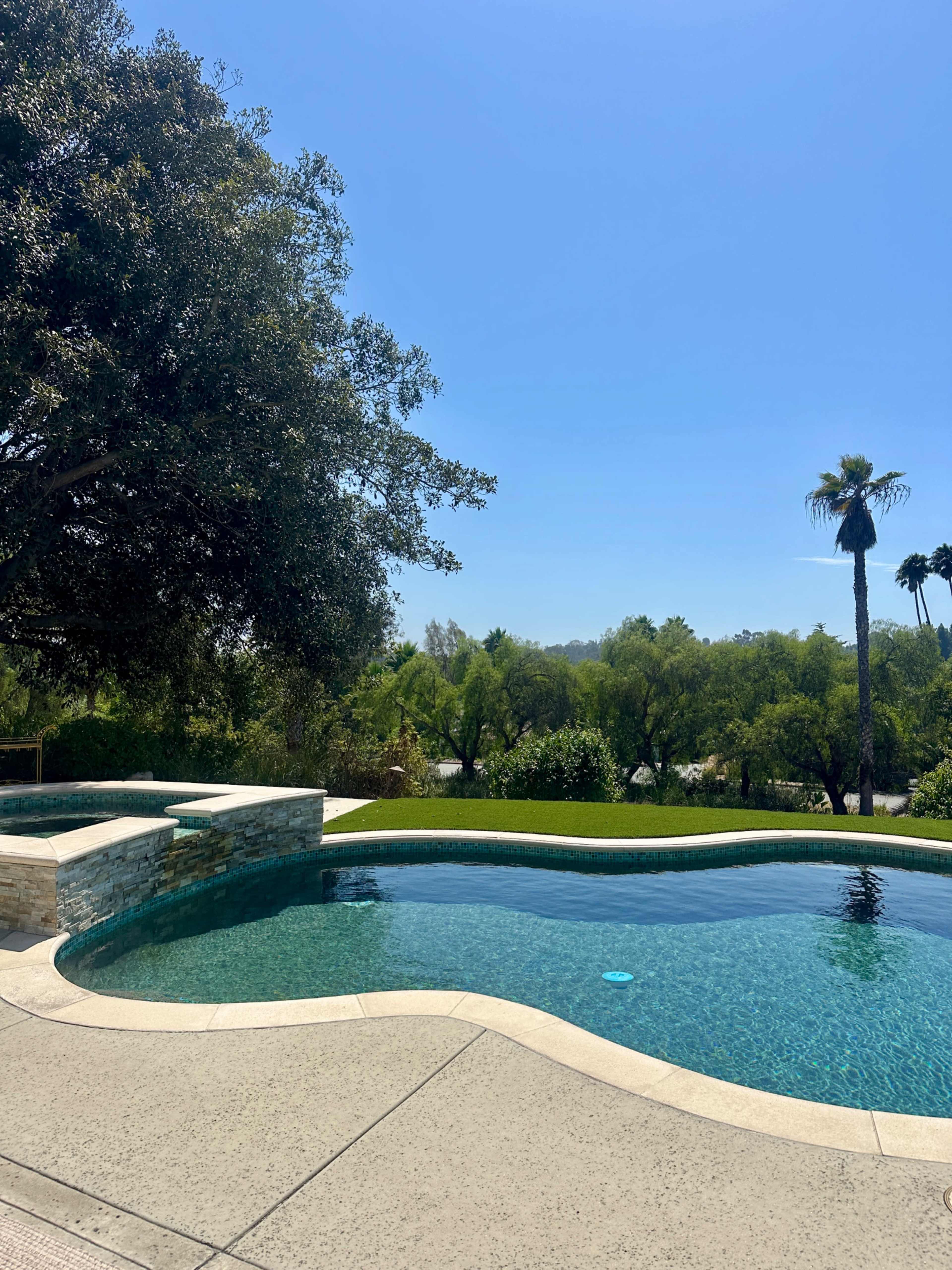 The image shows a clear swimming pool surrounded by greenery and palm trees under a bright blue sky.