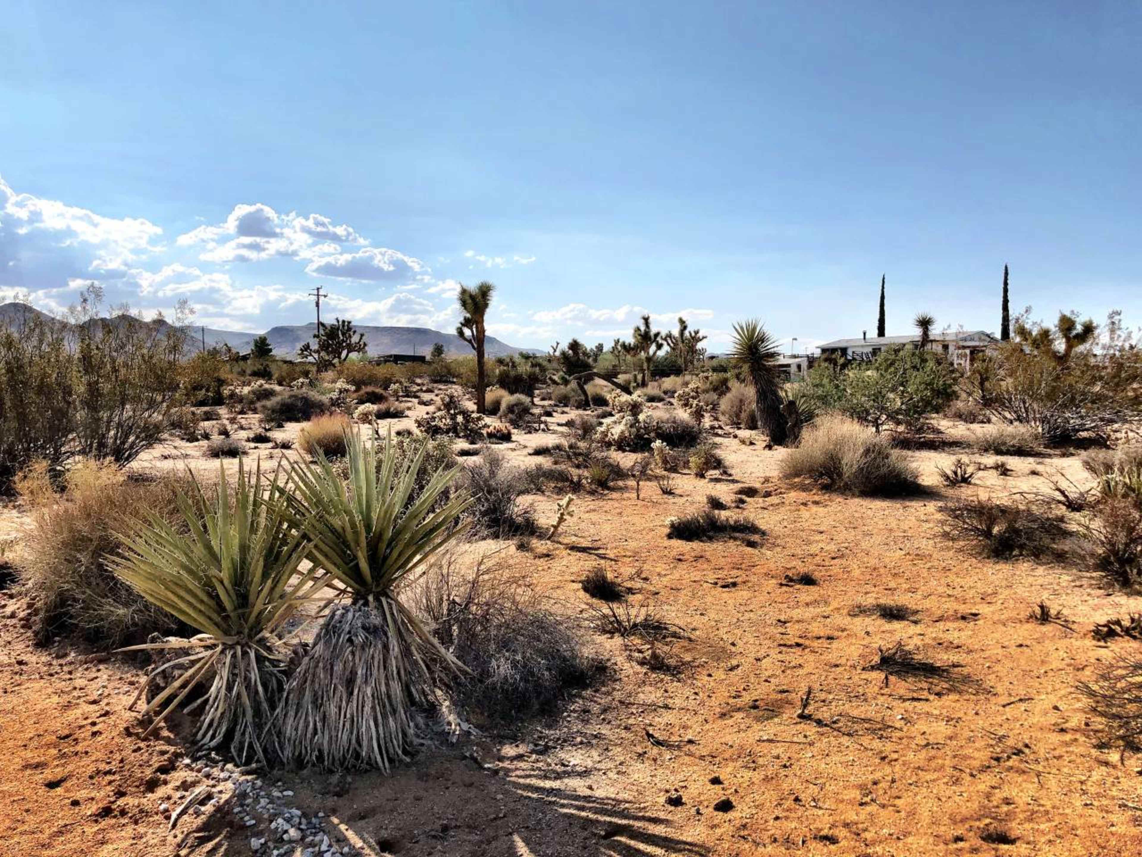 The scene depicts a desert landscape with scattered vegetation, including yucca plants, under a clear sky dotted with a few clouds.