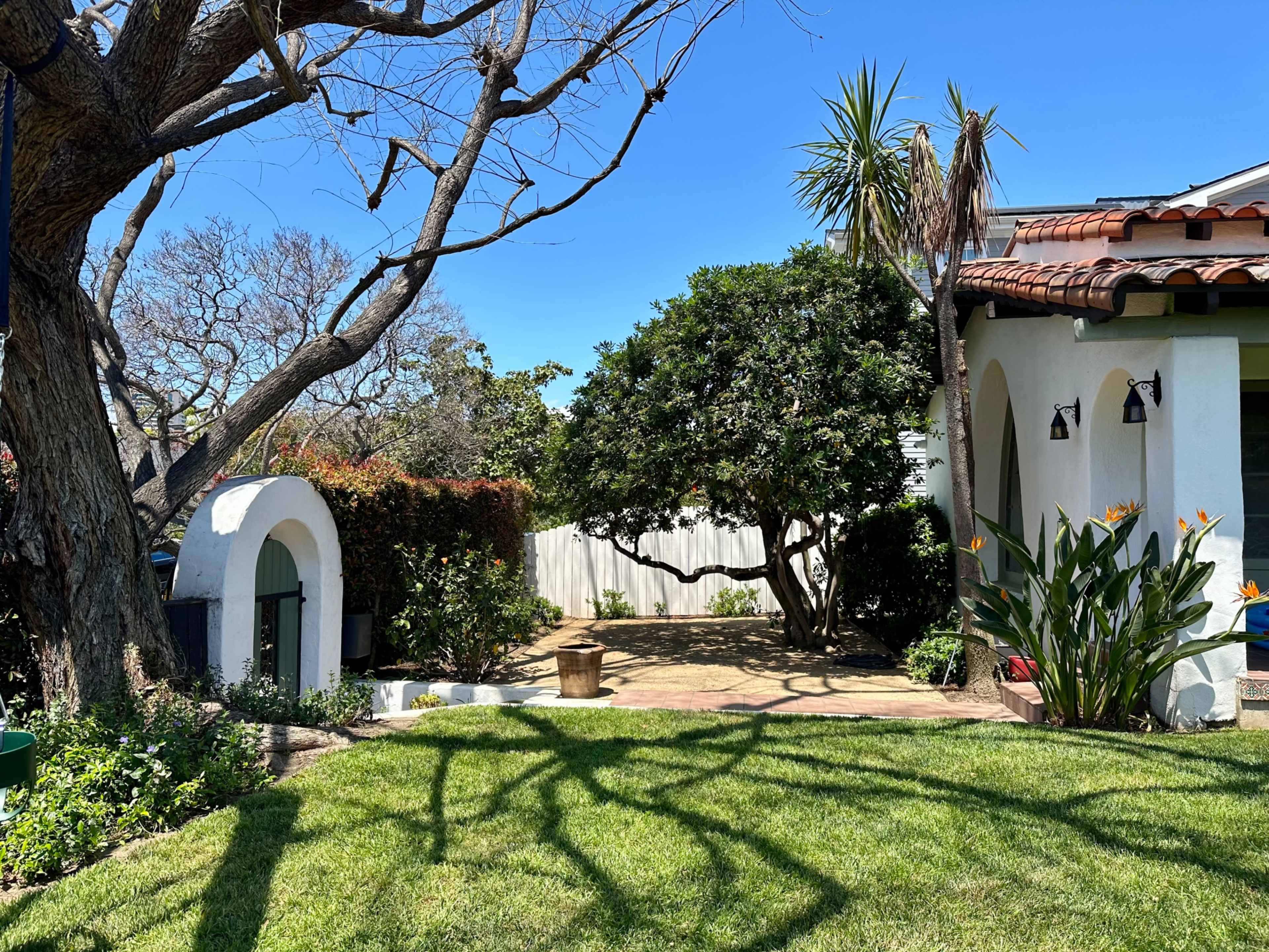 A landscaped garden with a stone patio, a large tree, and various shrubs, under a clear blue sky.