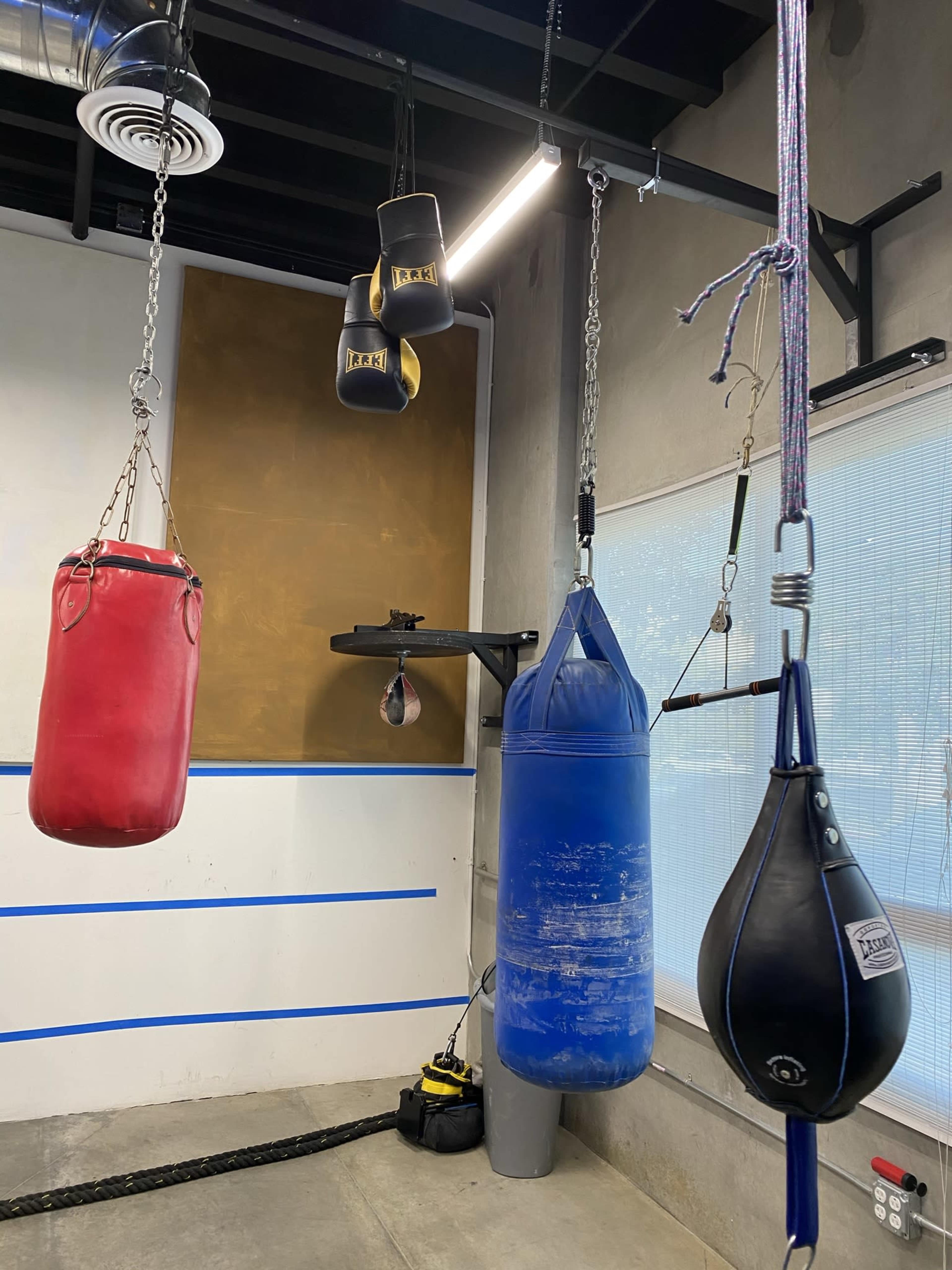 Several boxing bags of different types and colors hanging in a gym with a concrete floor and a minimalistic design.