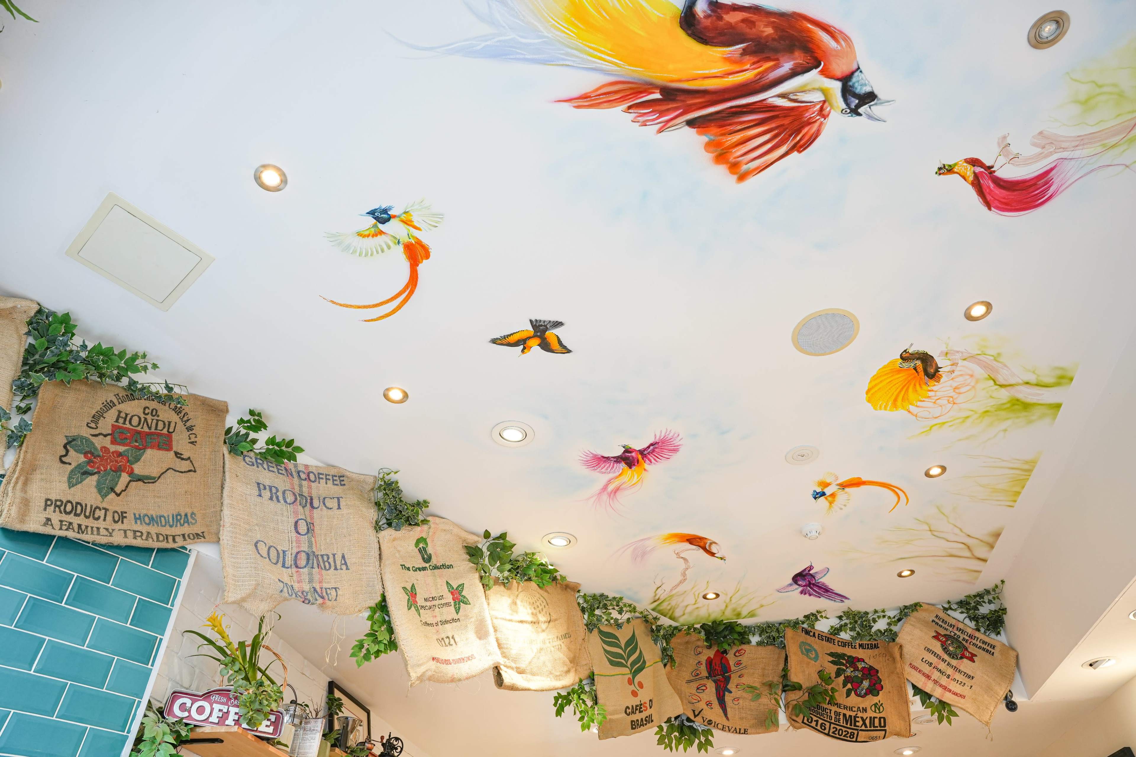 The ceiling features colorful bird murals, while coffee sacks are displayed on the walls.