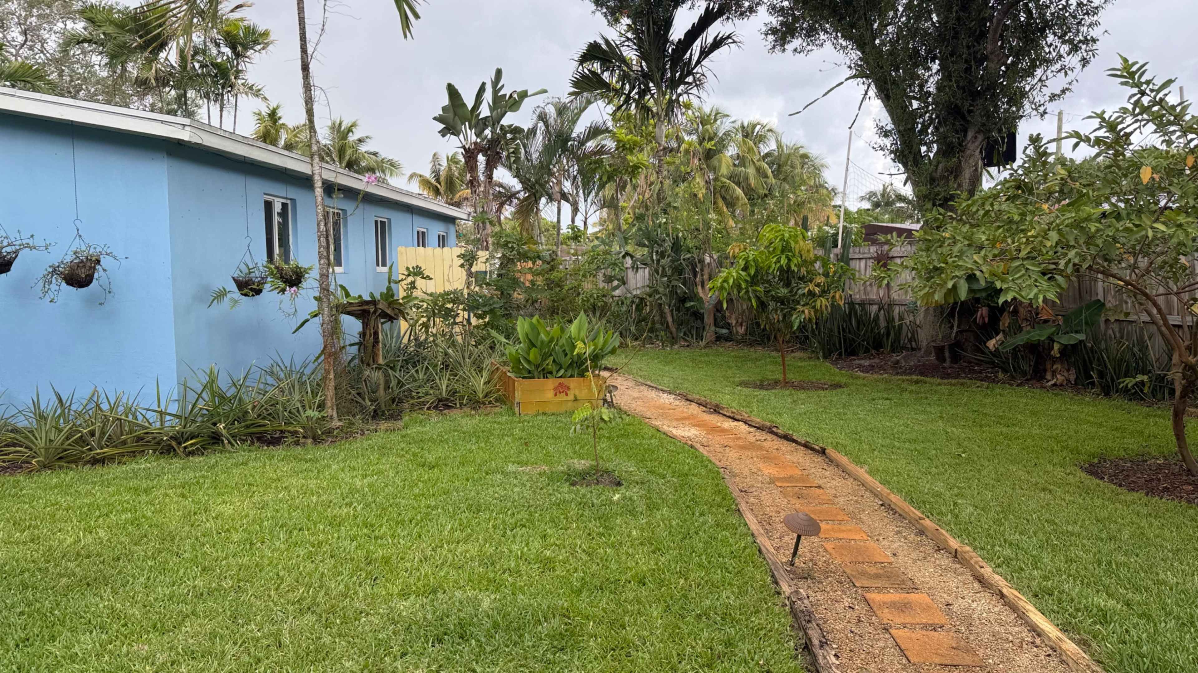 The image shows a lush garden with a paved pathway leading through greenery and tropical plants, alongside a blue building in the background.