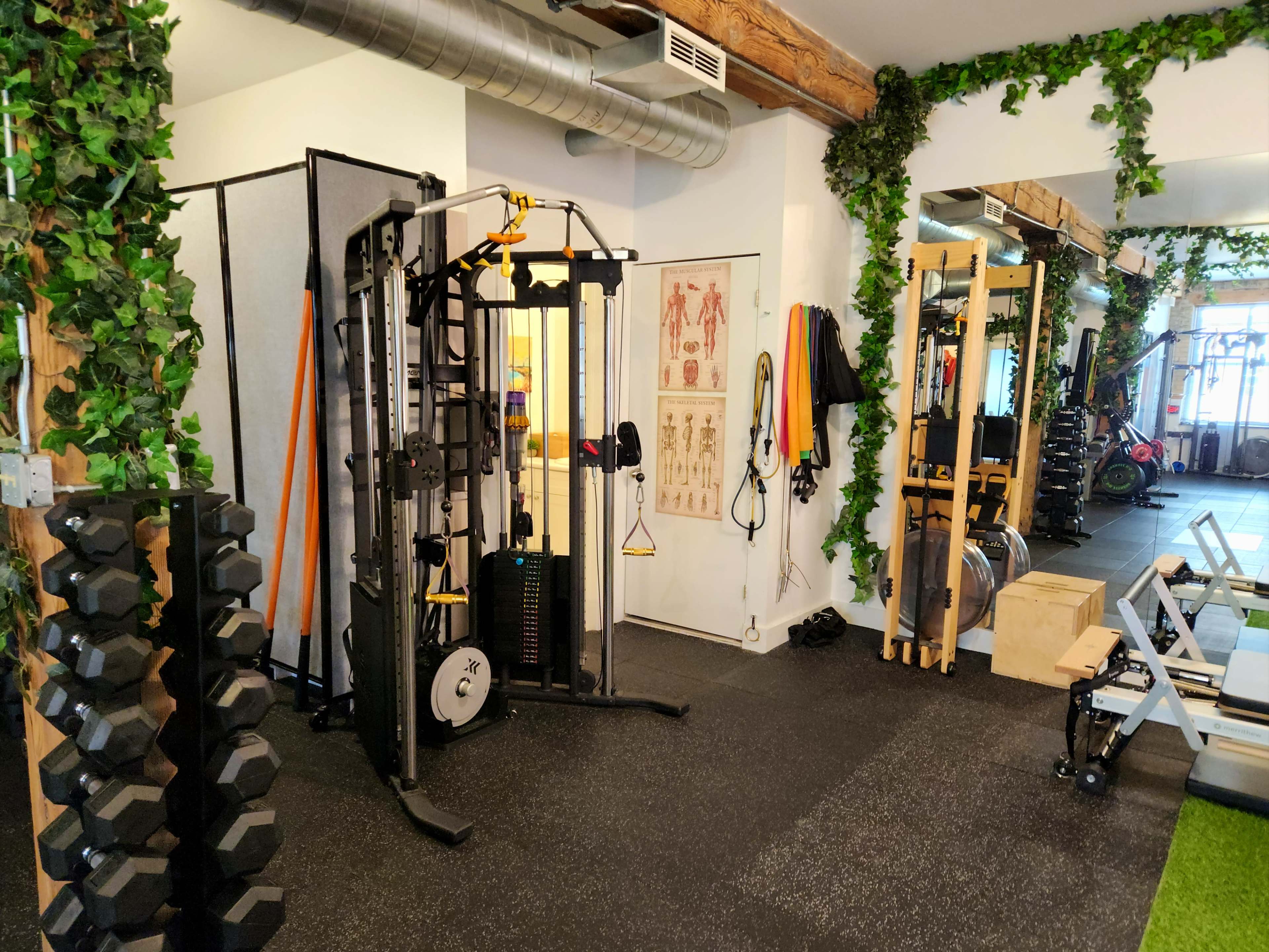 Fitness studio and gym in downtown Toronto Image in Trinity-Bellwoods, Toronto, ON