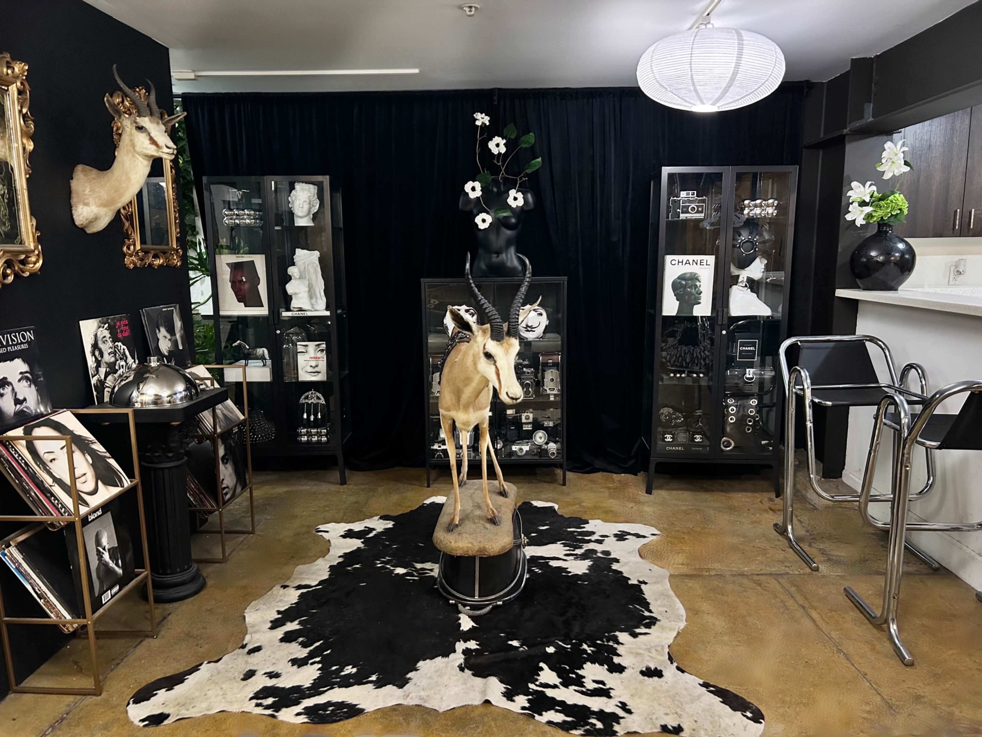 The image shows a stylish interior space featuring a mounted deer head, display cabinets with decorative items, a black and white cowhide rug, and a minimalist bar area.
