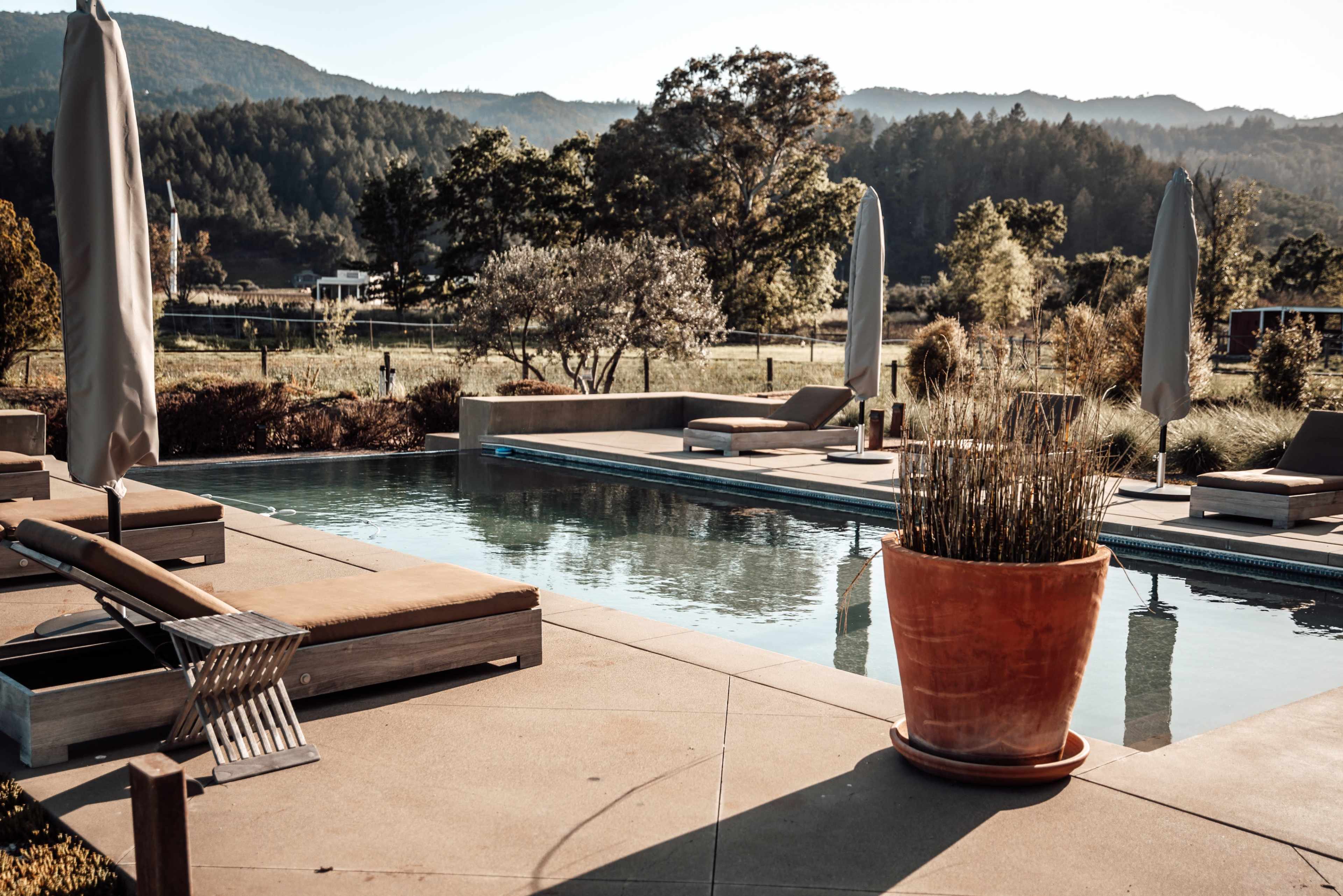 A serene pool area features lounge chairs and large potted plants against a backdrop of mountains and greenery.
