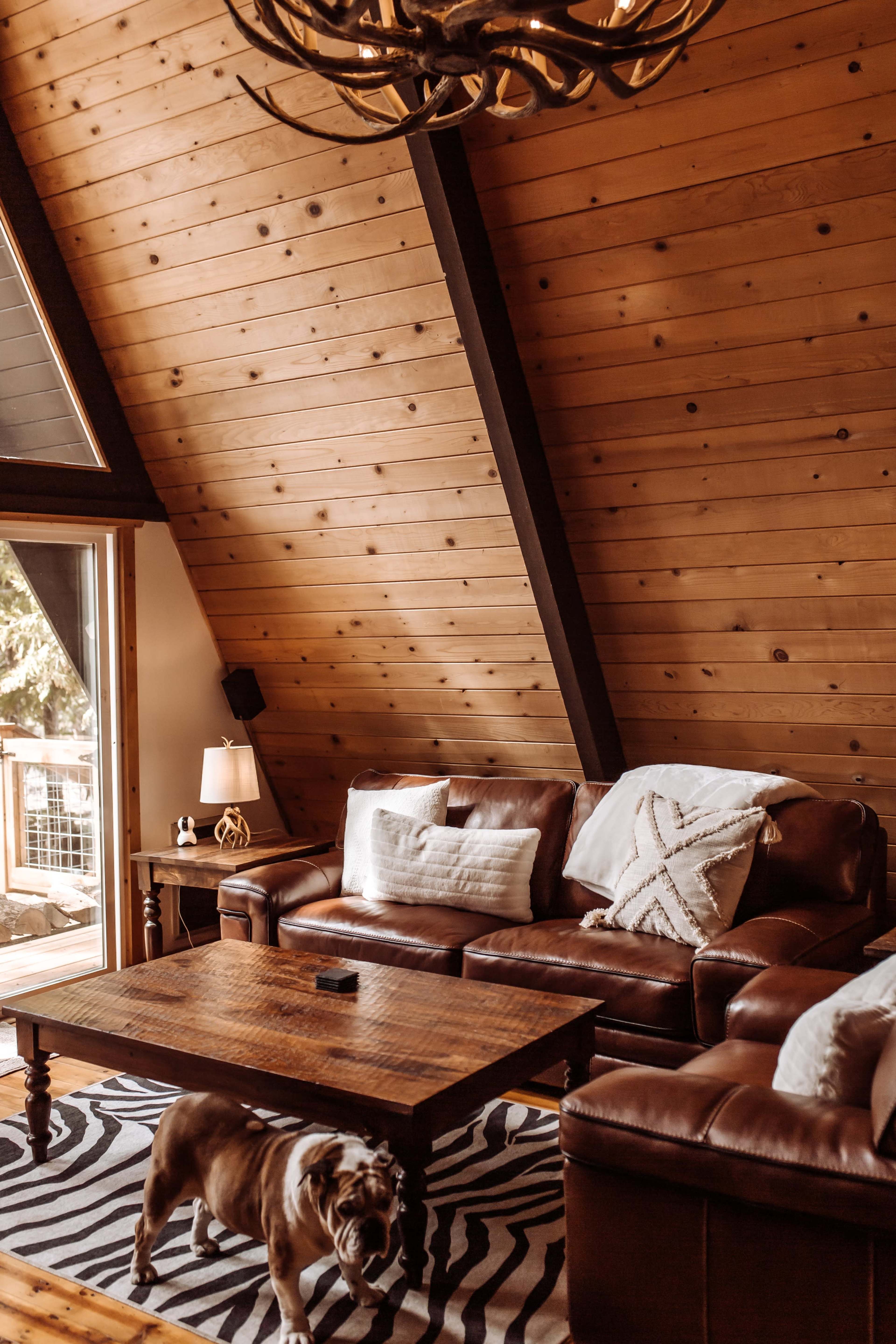 A cozy living room with wooden walls, a leather sofa, a wooden coffee table, and a dog walking on a zebra-striped rug.