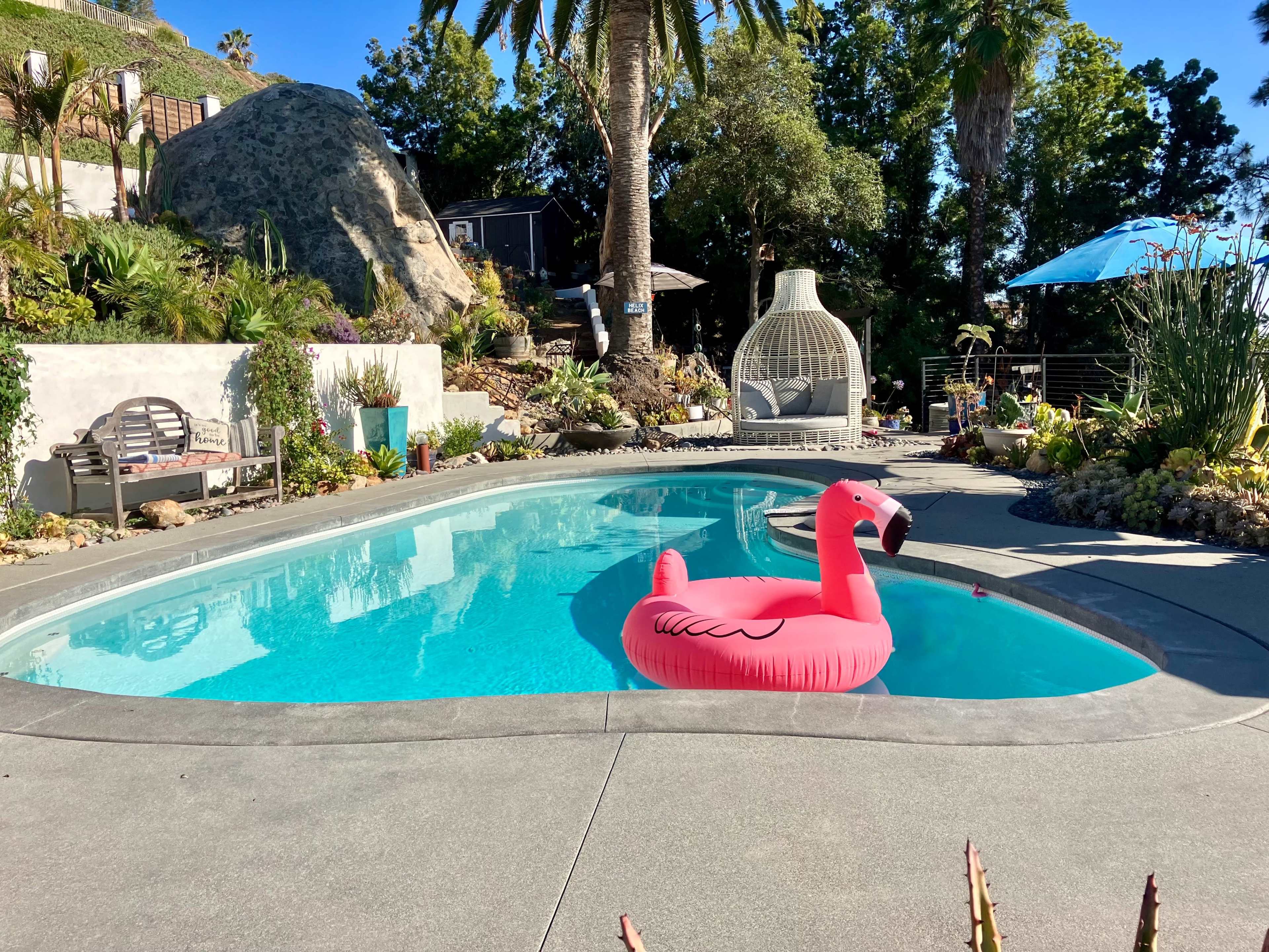 A pink flamingo float is positioned in a swimming pool surrounded by lush landscaping and outdoor furniture.