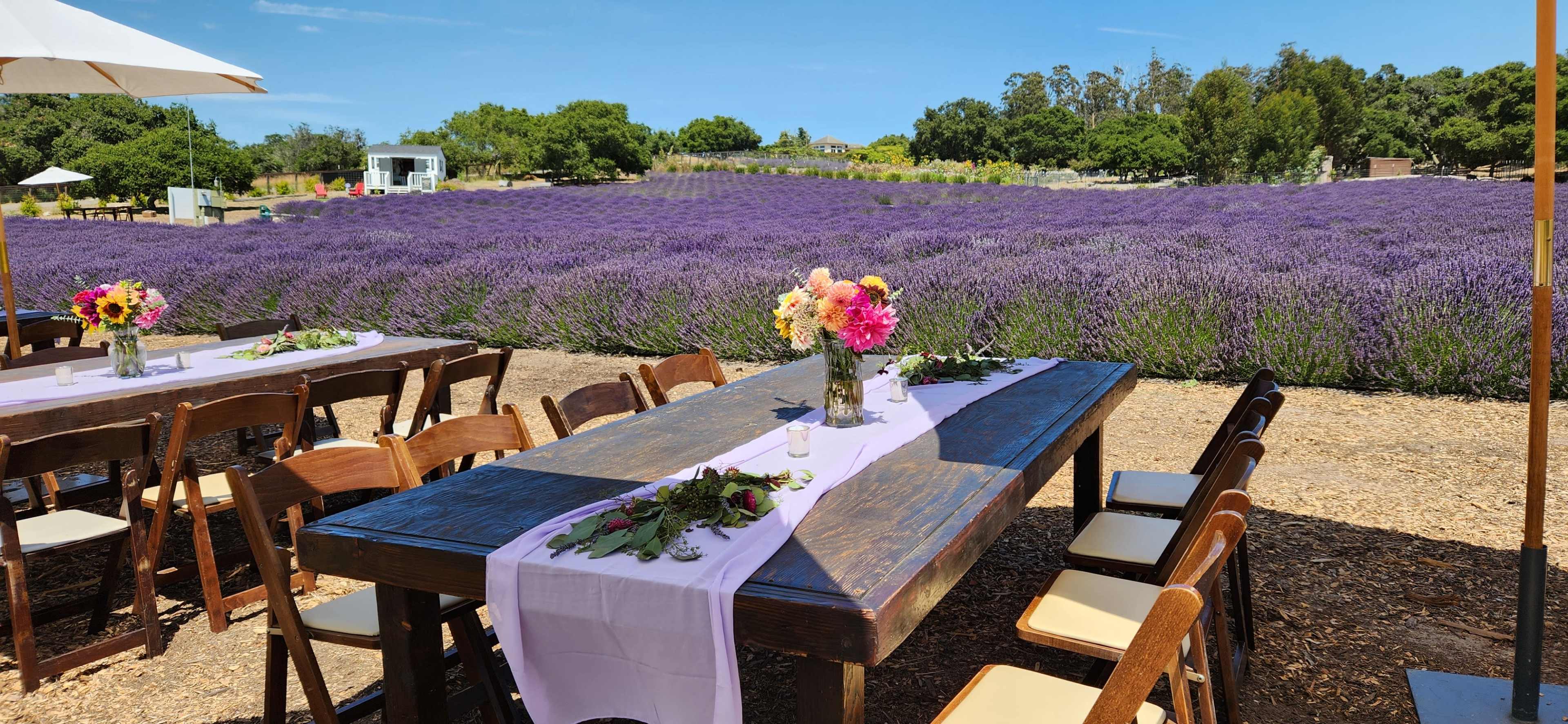 A long wooden table is set with flowers and tableware, overlooking a field of blooming lavender.