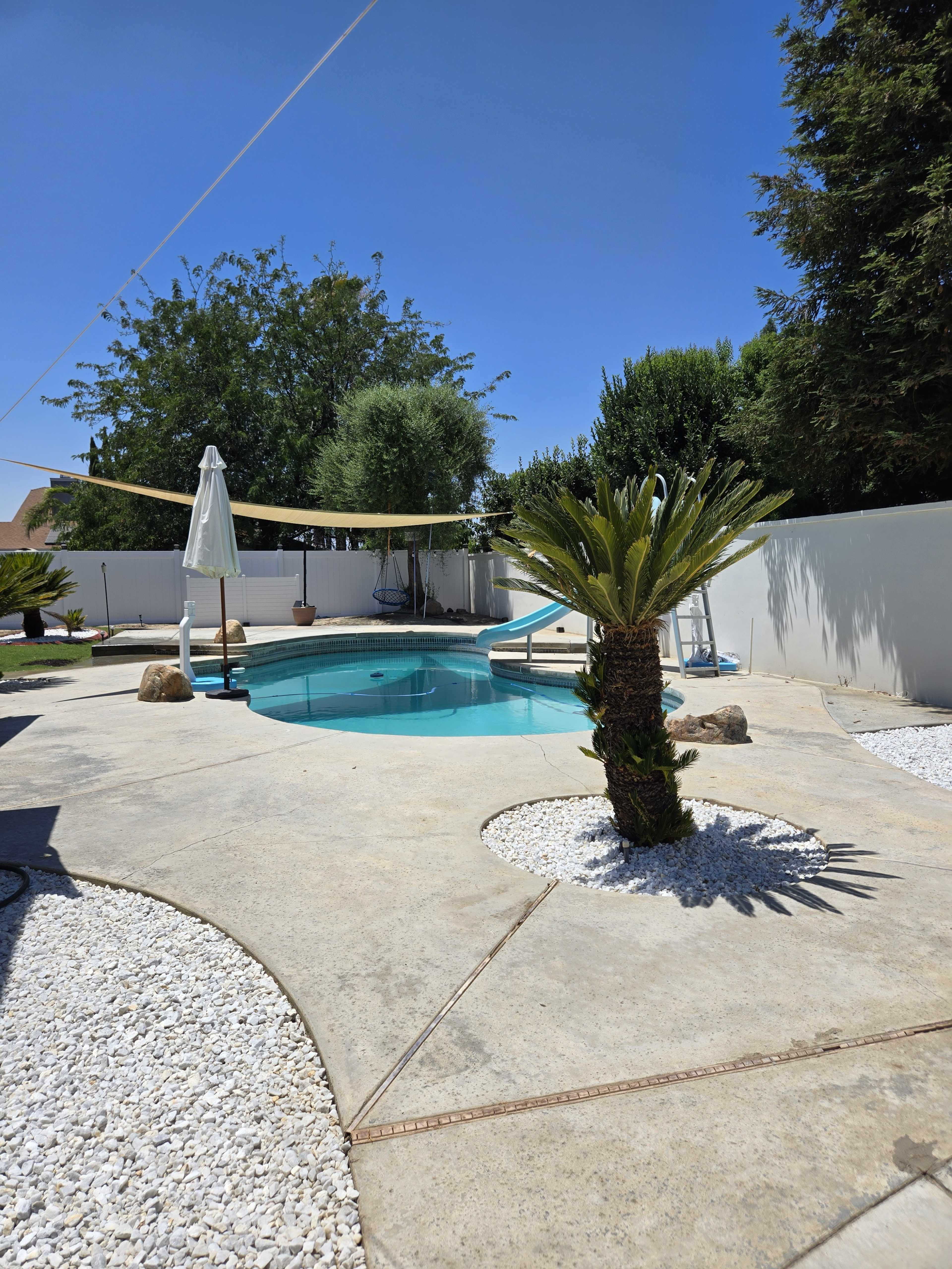 A swimming pool surrounded by concrete and decorative stones, with a palm tree and a shaded area provided by a large umbrella.