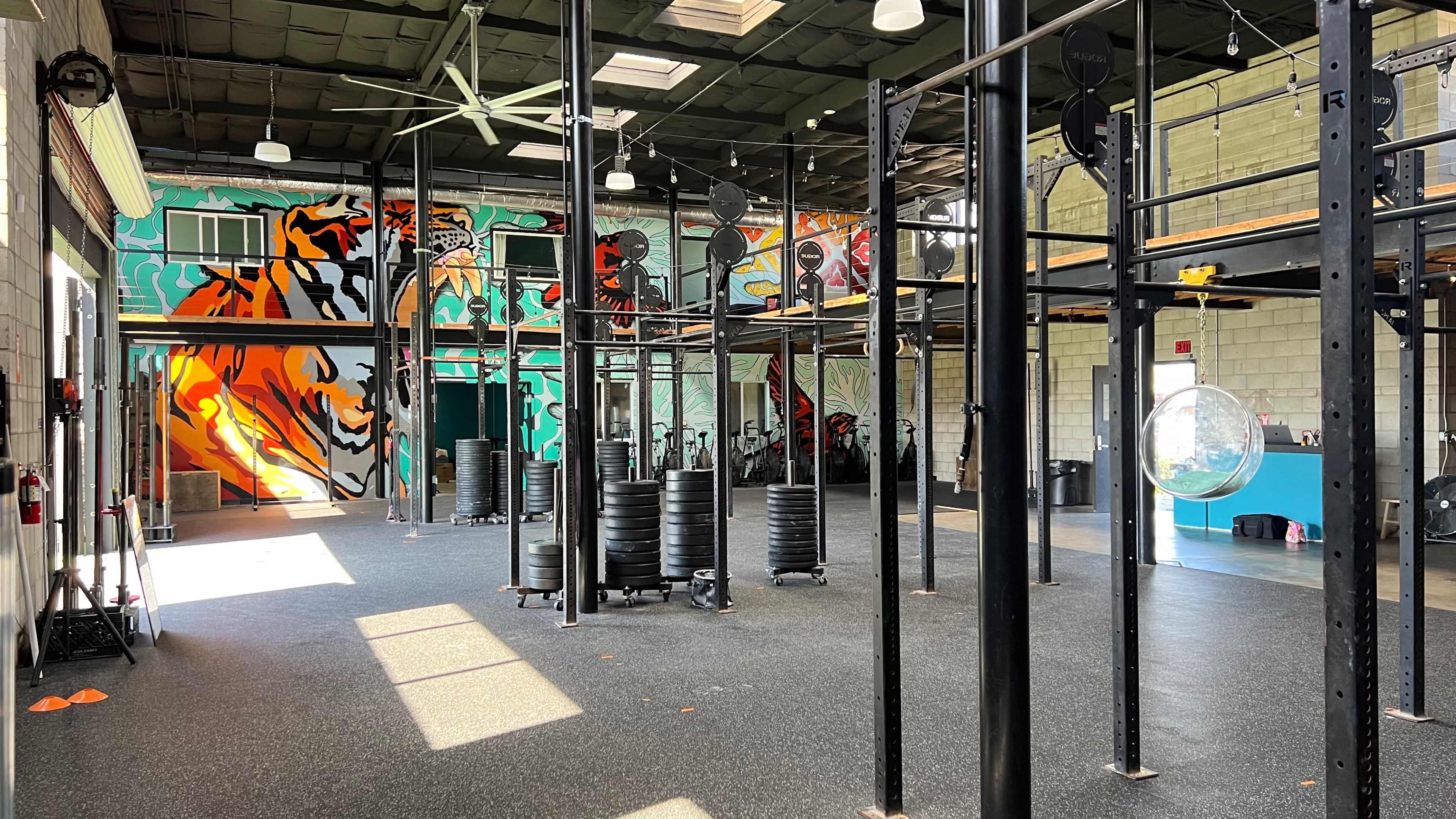 The image shows a brightly lit gym with black weight plates stacked on the floor and colorful murals on the walls.