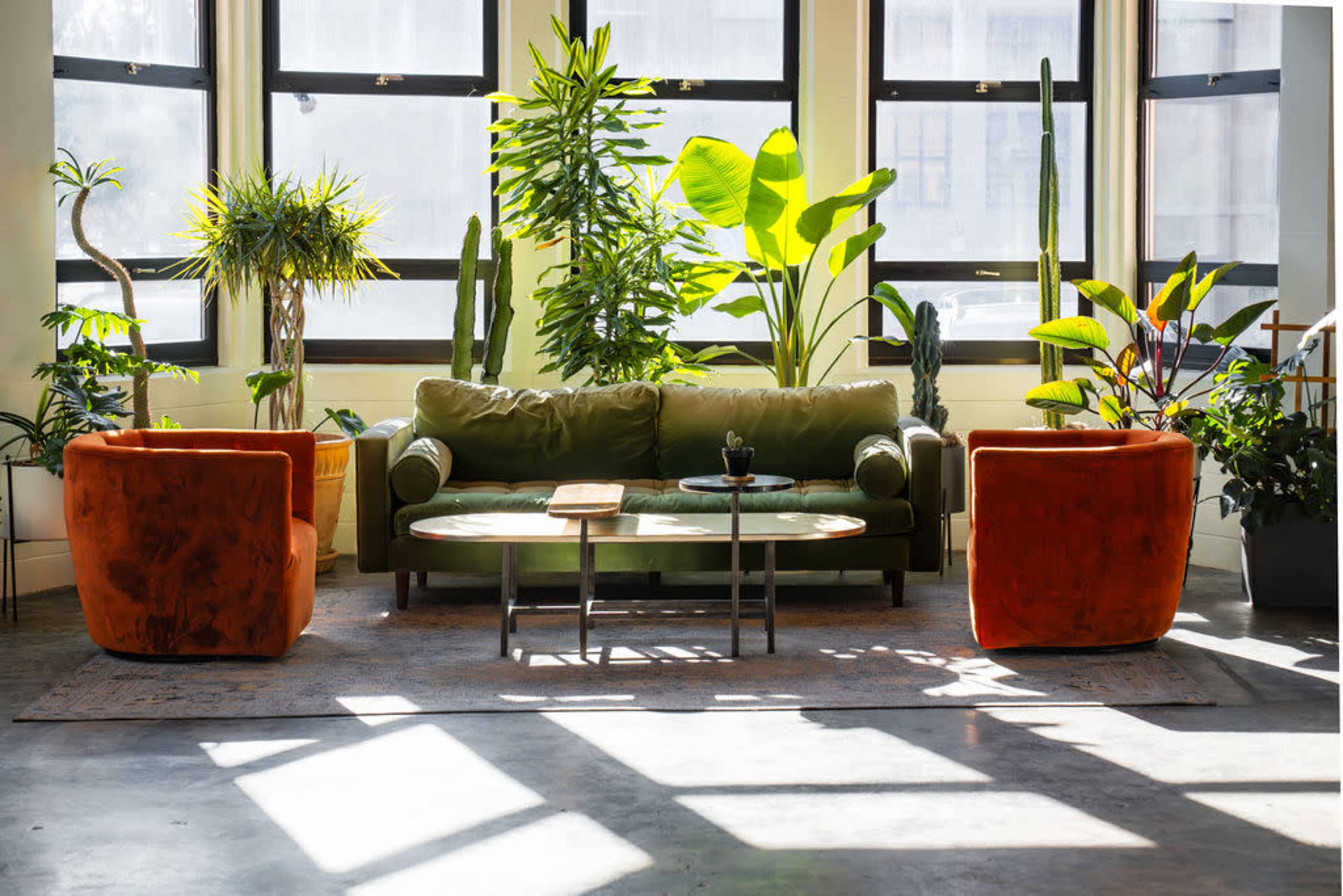 The image shows a bright indoor space furnished with a green sofa, two orange armchairs, a low coffee table, and various potted plants near large windows.
