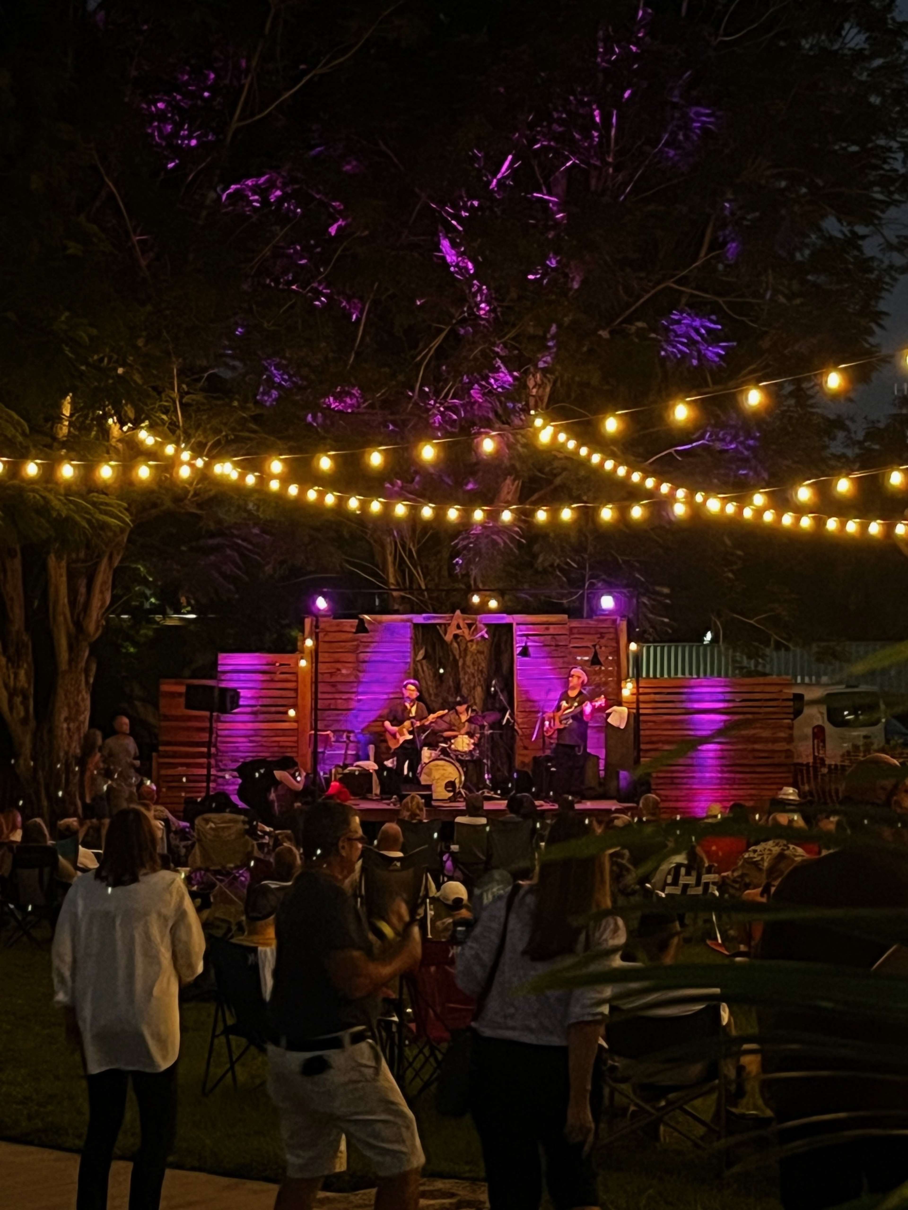 A live music performance takes place on an outdoor stage illuminated by string lights, while an audience enjoys the show seated in folding chairs.