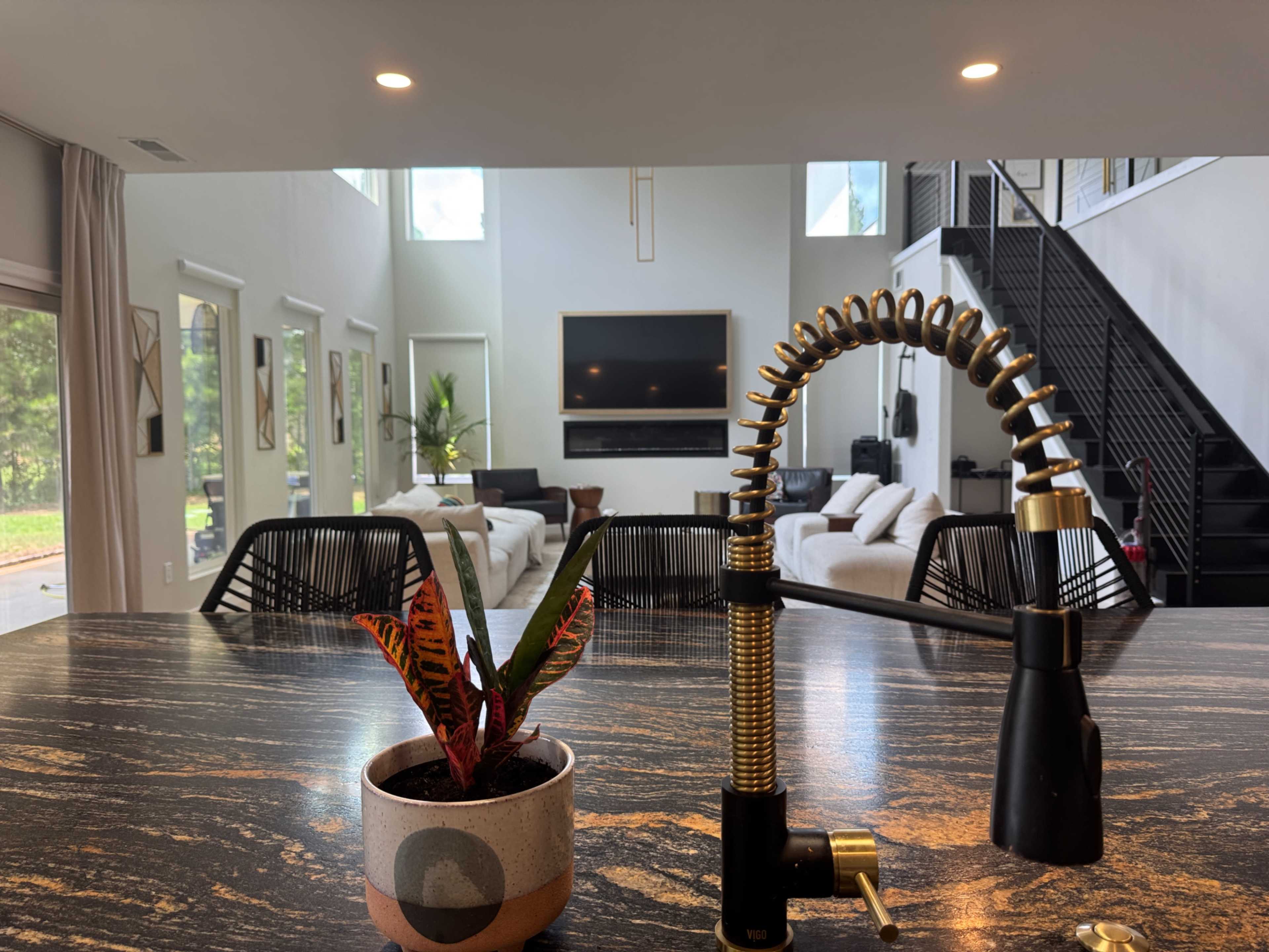The image shows a modern open-concept living space featuring a kitchen with a black and gold faucet, a potted plant in the foreground, and a spacious seating area with a large television in the background.