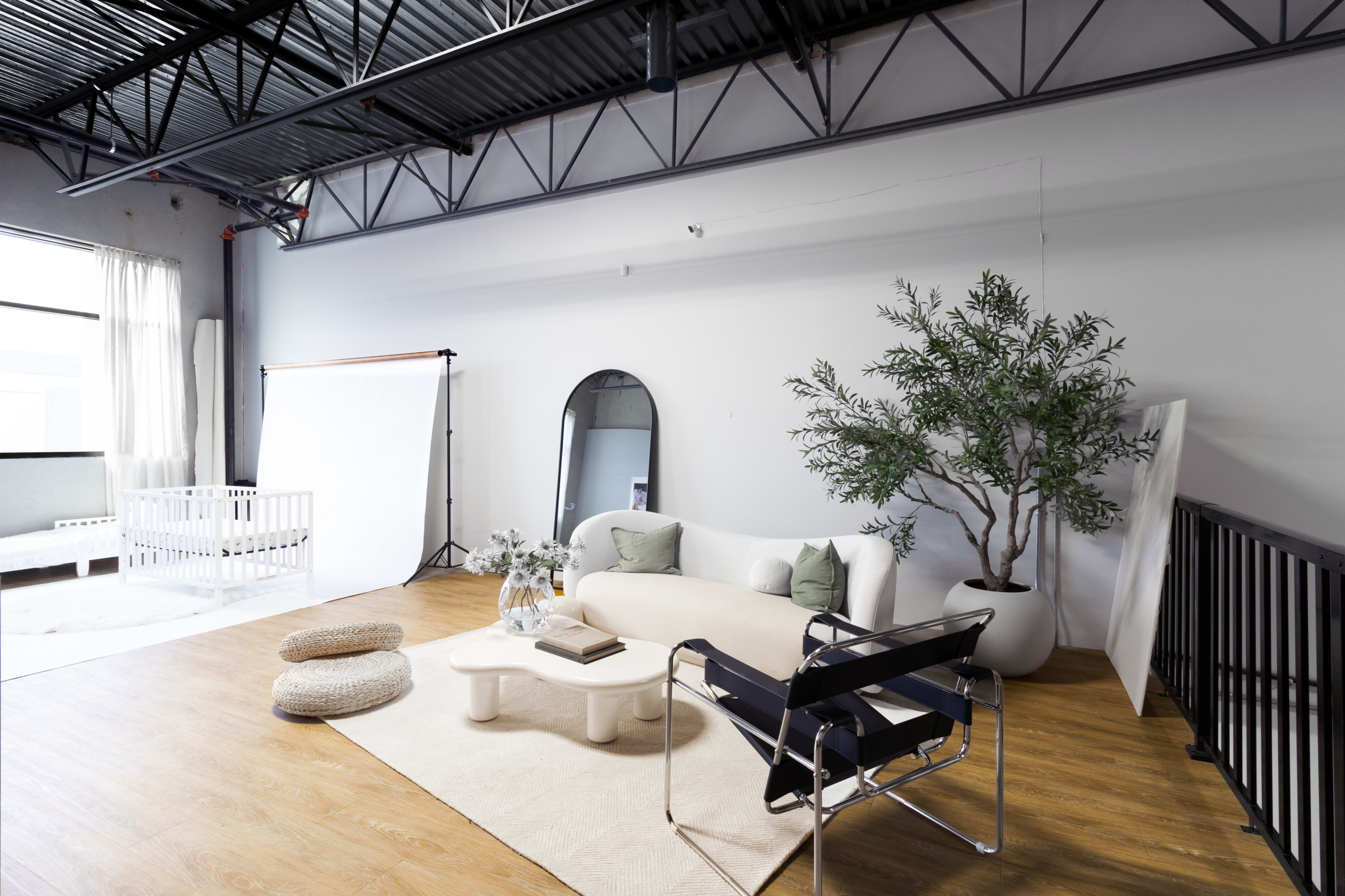 The room features a modern, minimalistic seating area with a white sofa, a black chair, and a large plant, complemented by a light wood floor and natural light highlights.