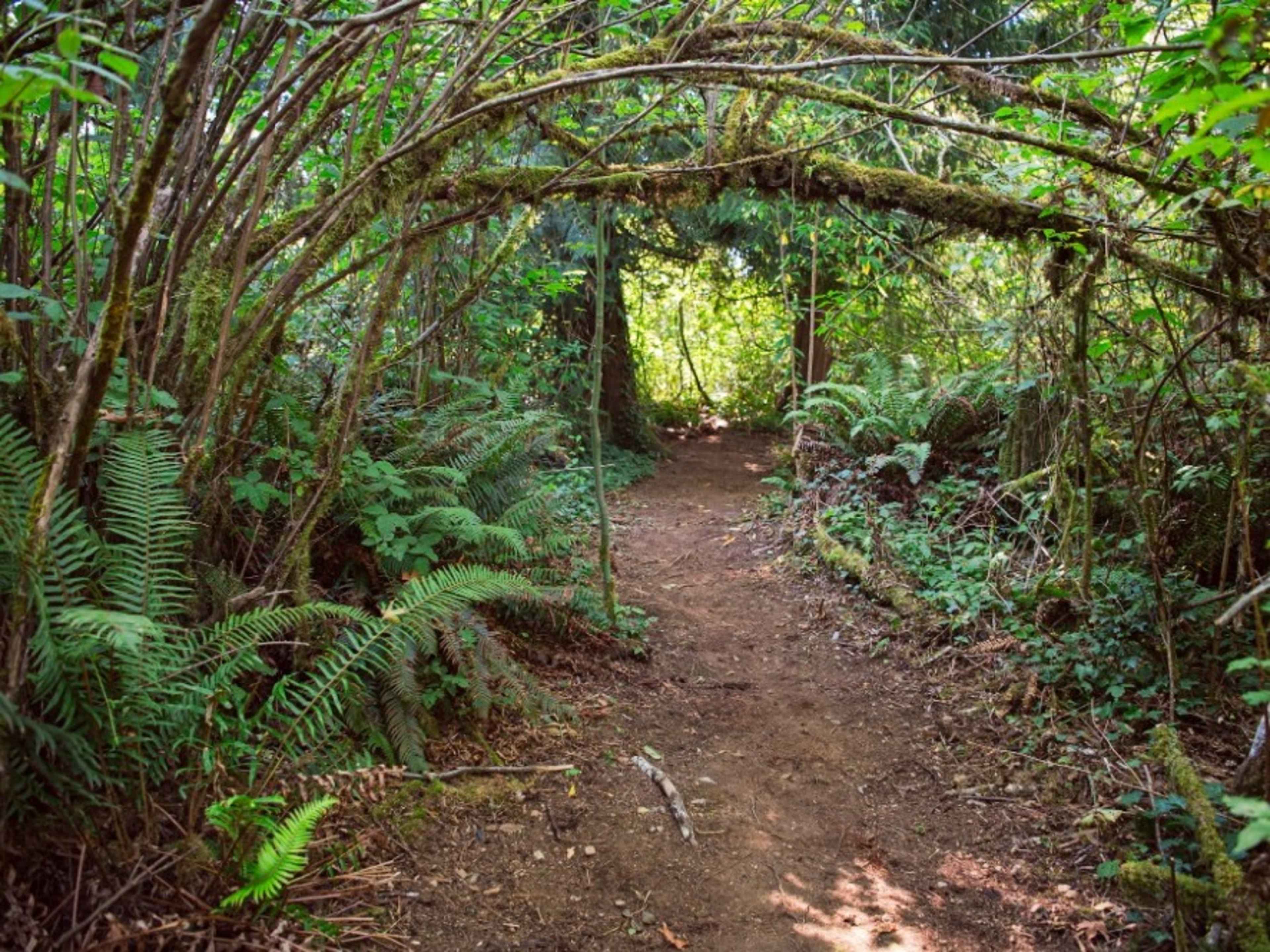 Nature Based Workshops/Sessions