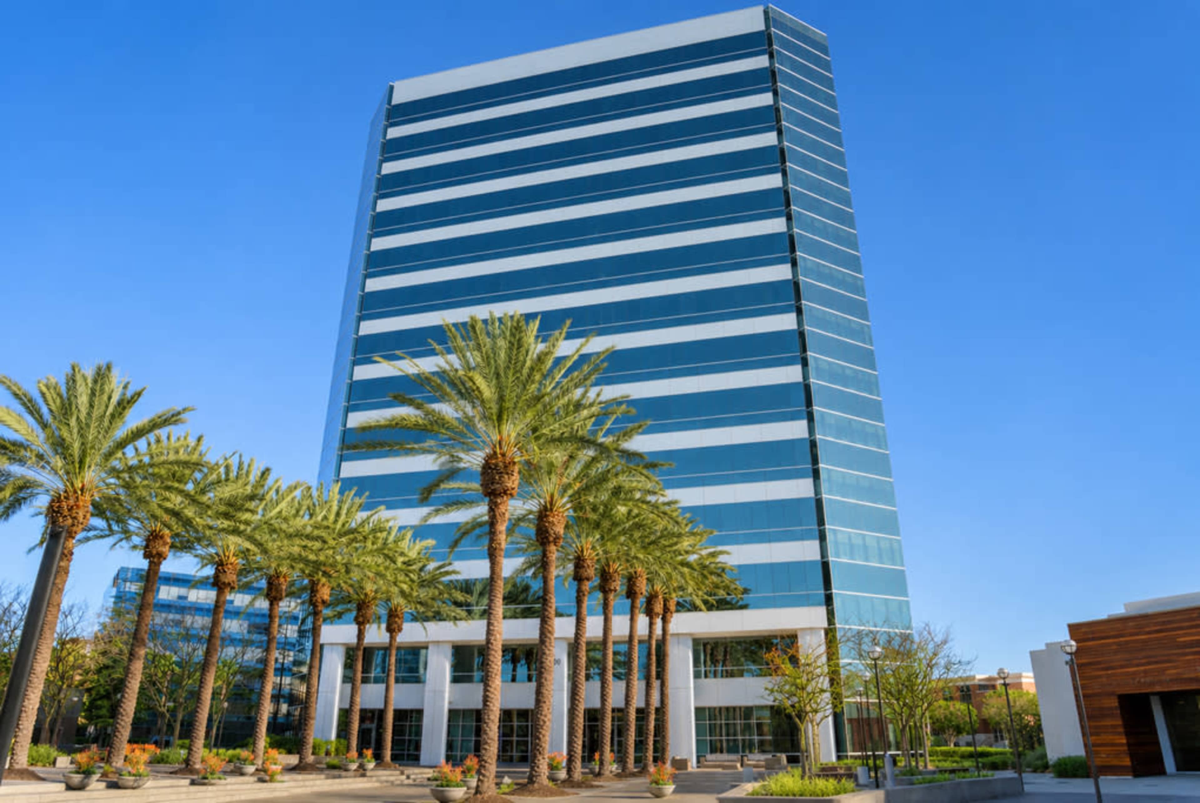 A tall office building with a glass exterior is flanked by palm trees against a clear blue sky.