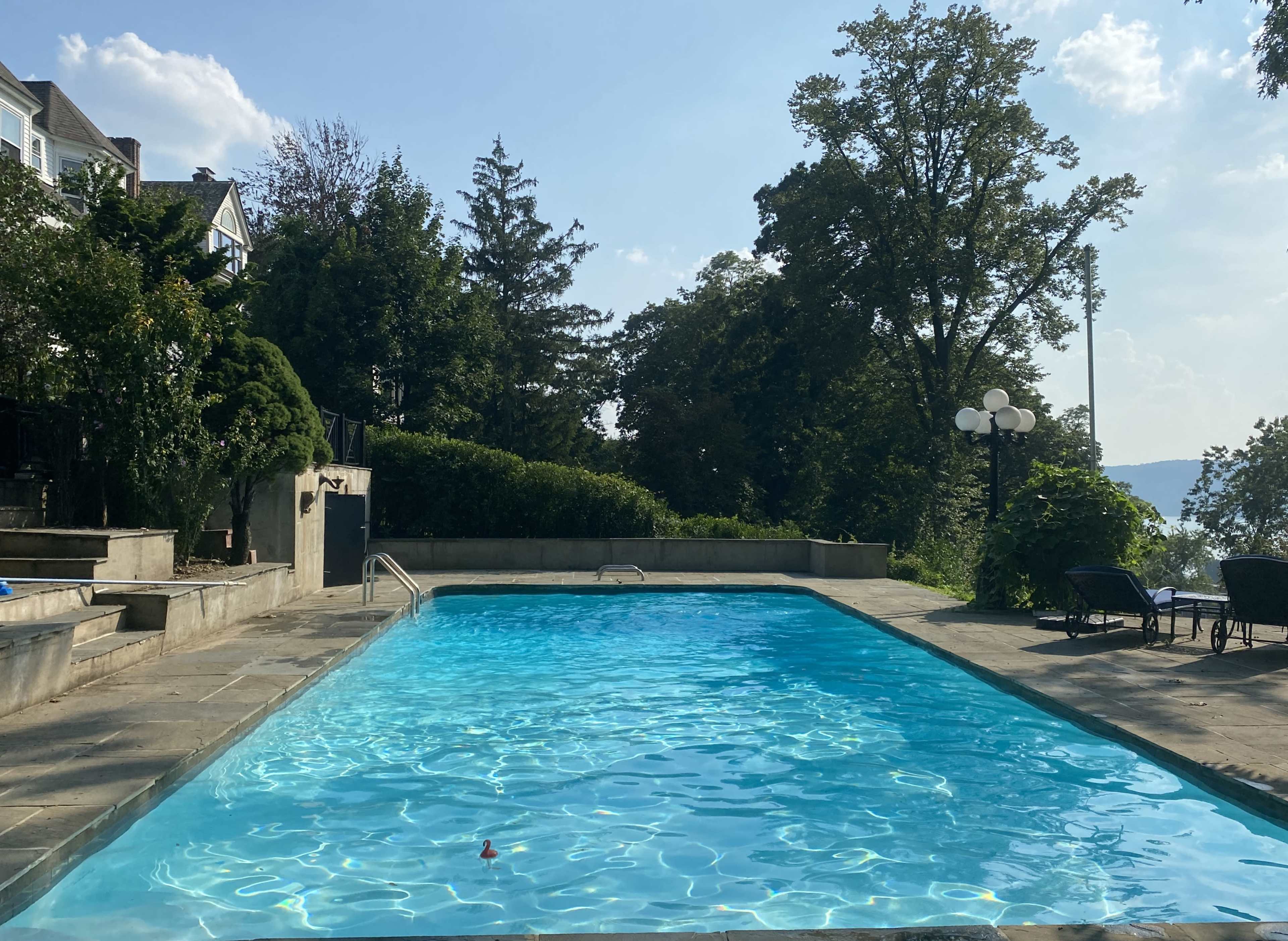 A clear blue swimming pool is surrounded by stone pathways and lush greenery under a sunny sky.