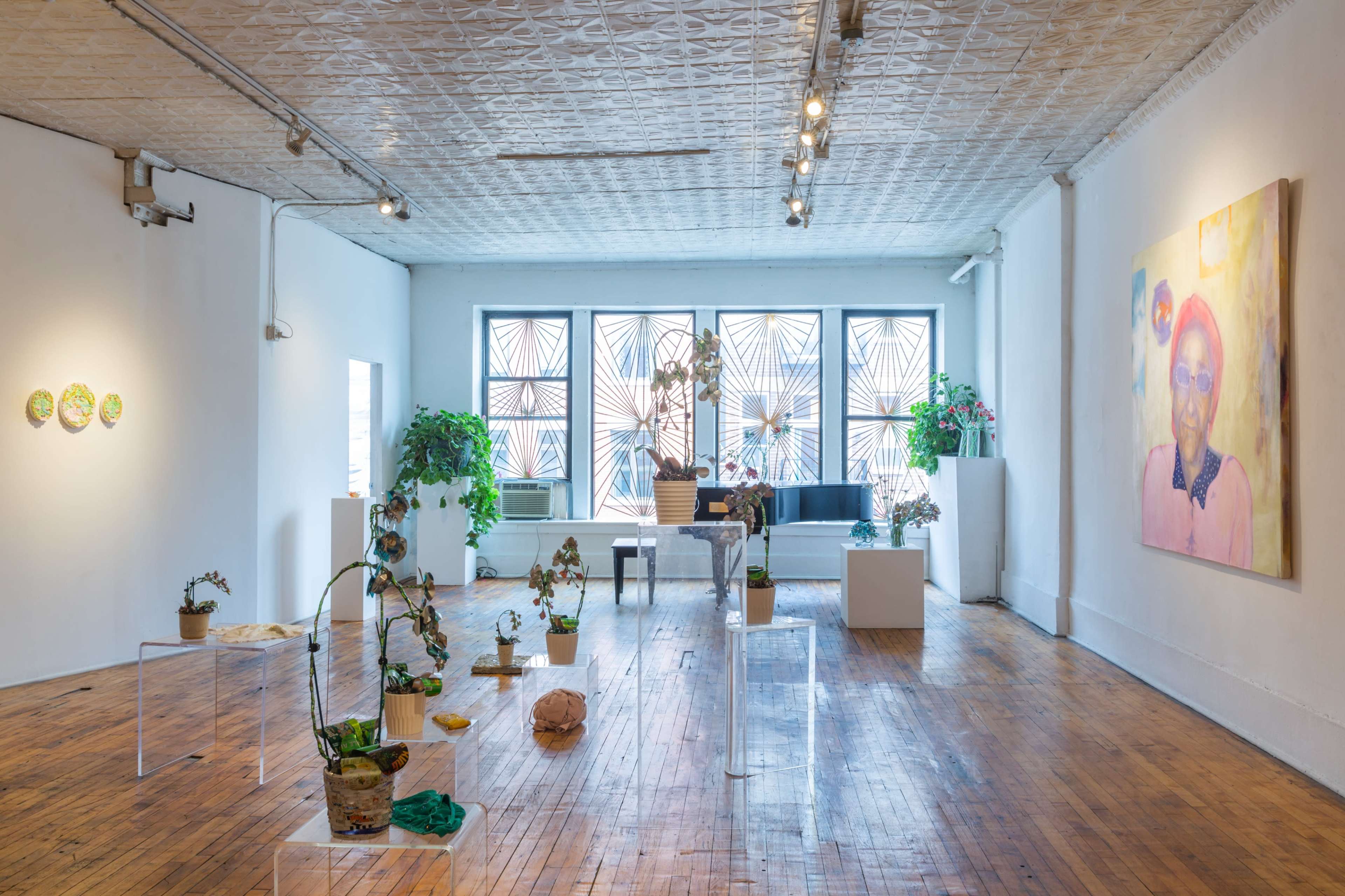 An art gallery with a wooden floor, featuring various plants, sculptures, and paintings displayed in a brightly lit space with large windows.
