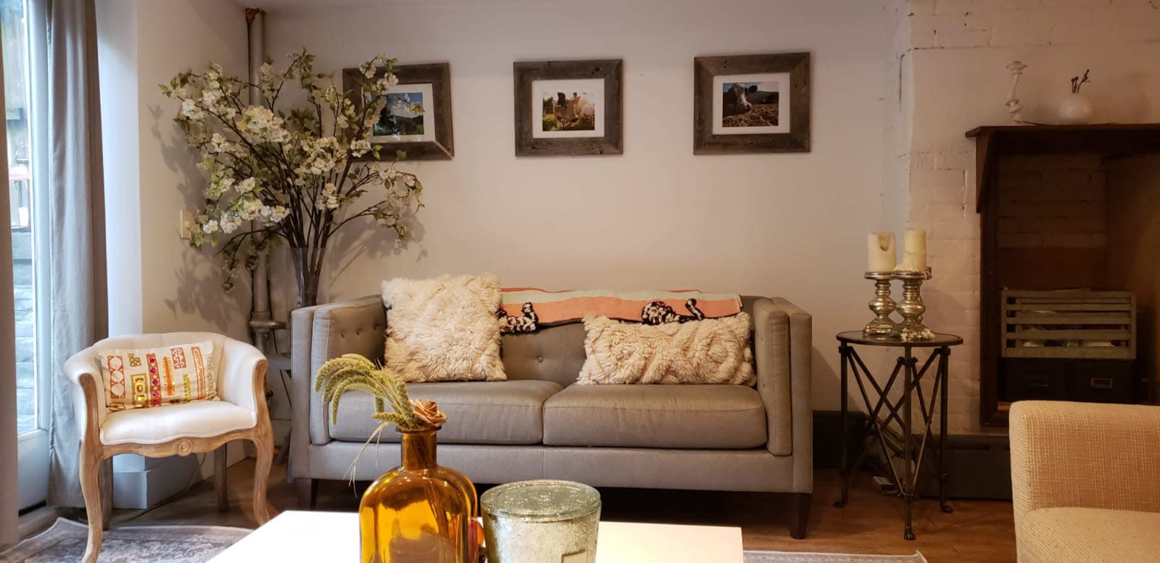 A modern living room features a gray sofa with decorative pillows, a small glass coffee table, and framed photographs on the wall, accompanied by a faux tree and decorative accents.