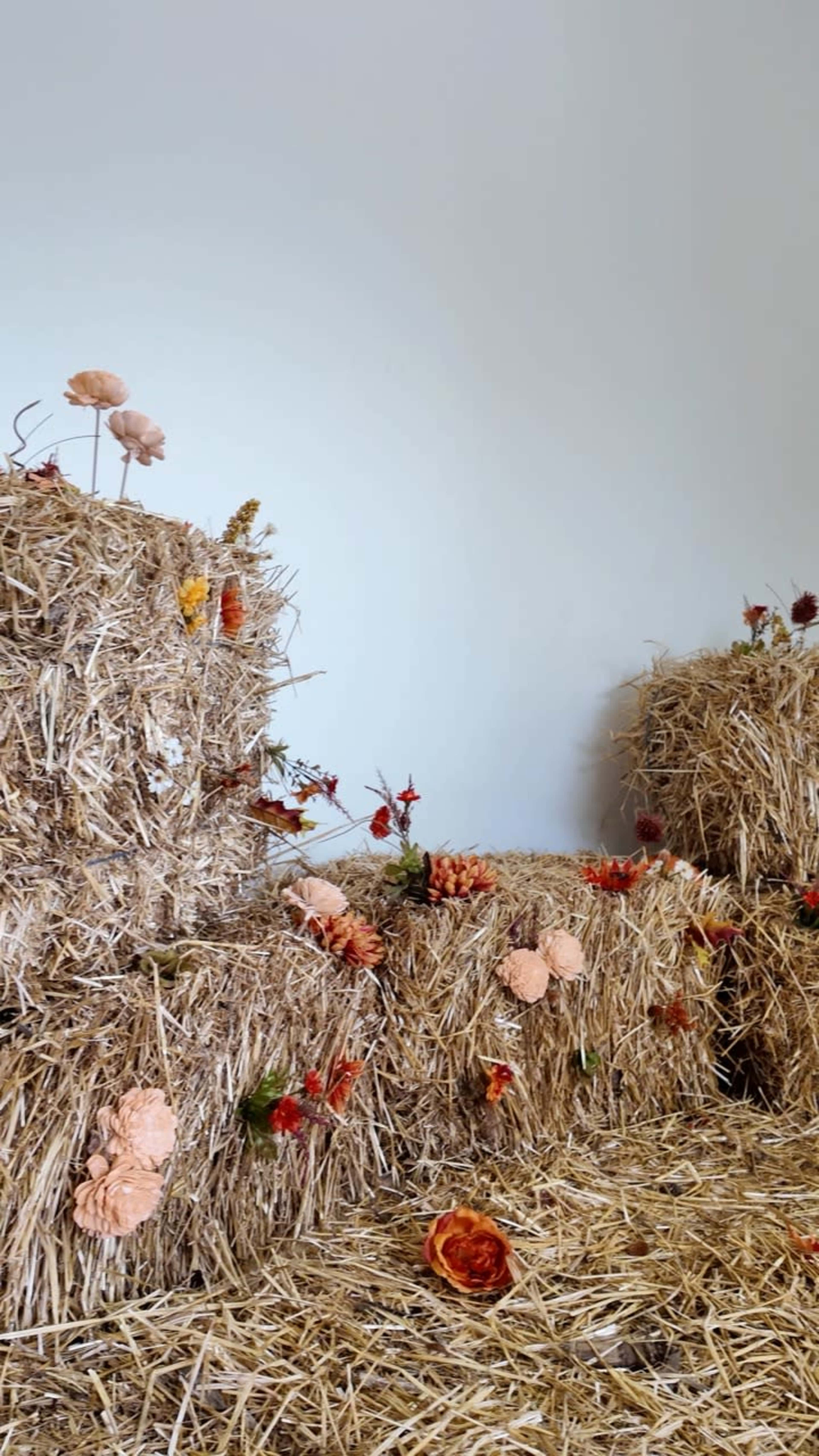 The Woodlands Studio Room - The Coastal Image in , Conroe, TX