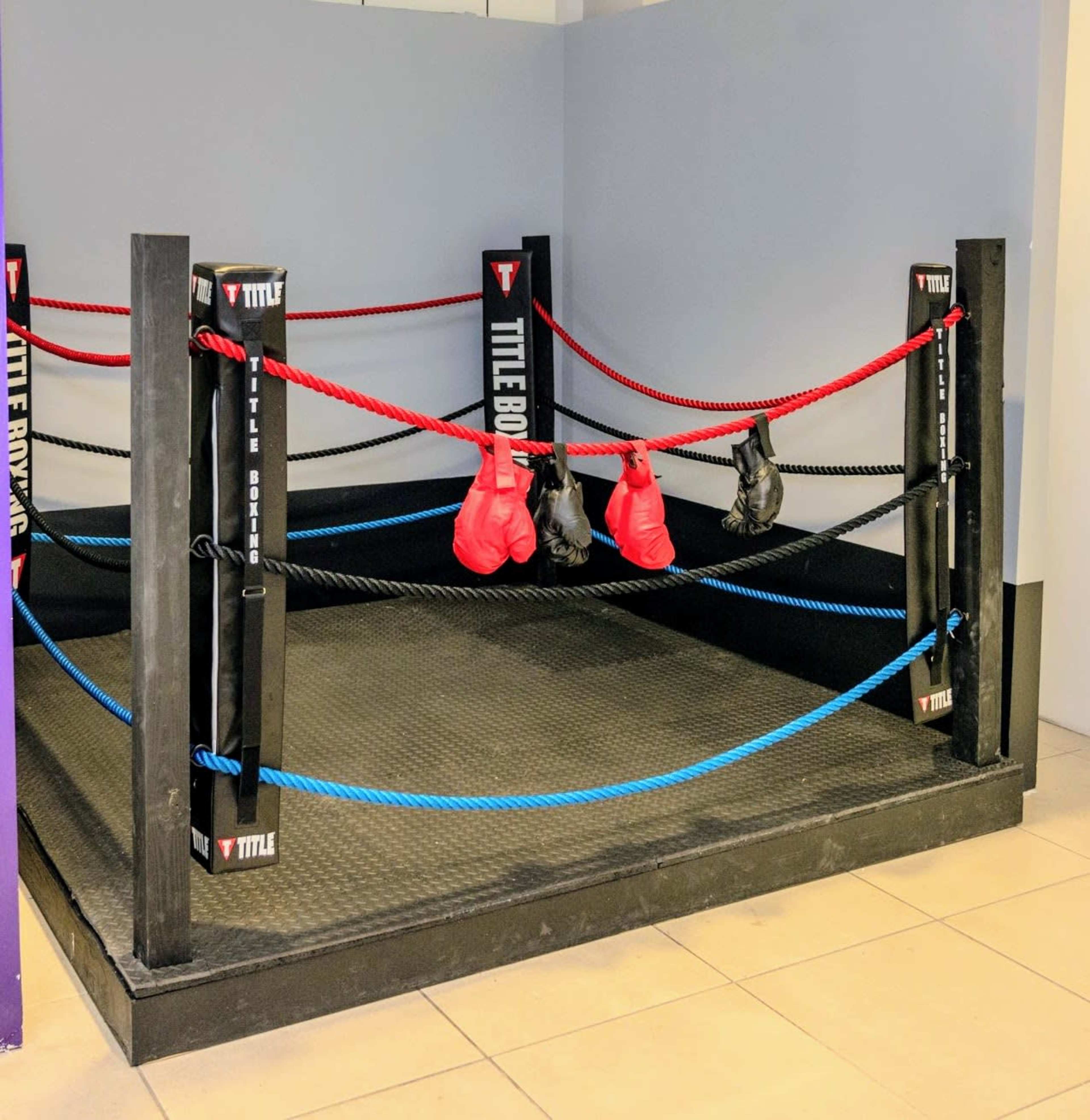 A boxing ring with red and blue ropes and red boxing gloves hanging on the side.