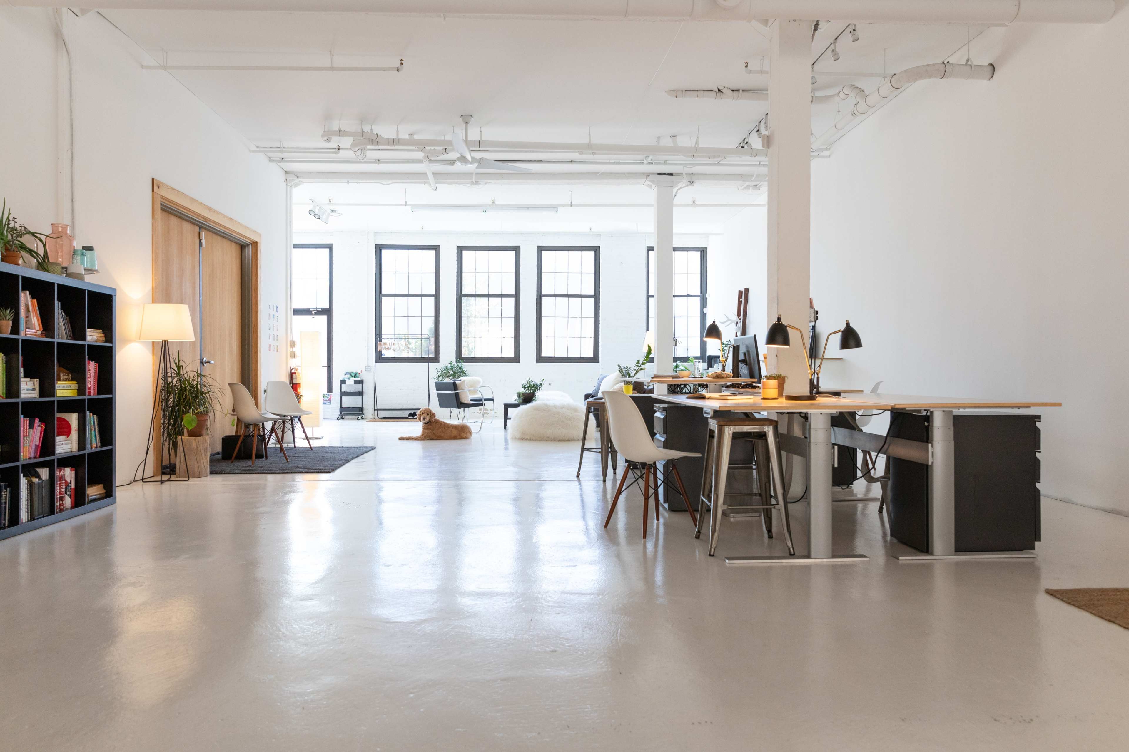 A spacious, well-lit office with large windows, light-colored floors, and a mix of desks, chairs, and plants.