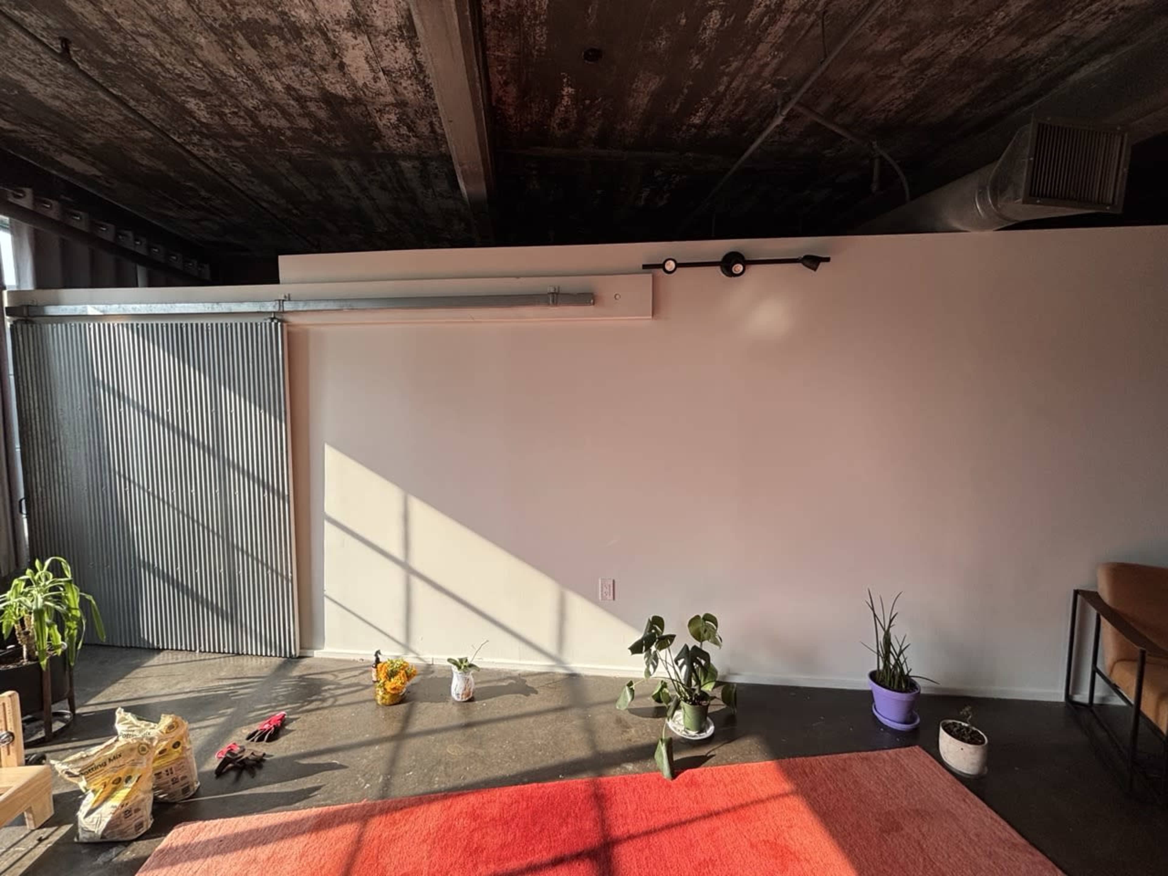 The image shows a minimally furnished room with a concrete ceiling, a large window casting light onto a blank wall, and several potted plants on the floor.