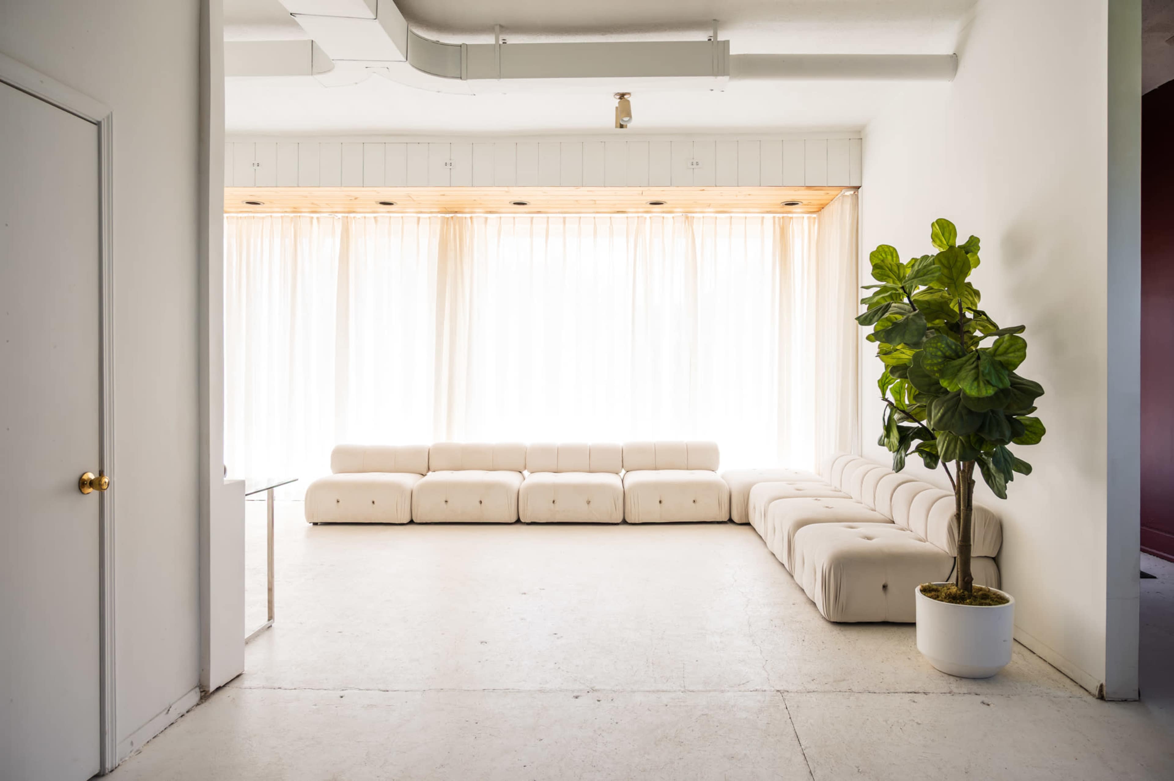 A spacious room features a minimalist white sofa, a large window with sheer curtains, and a potted plant.