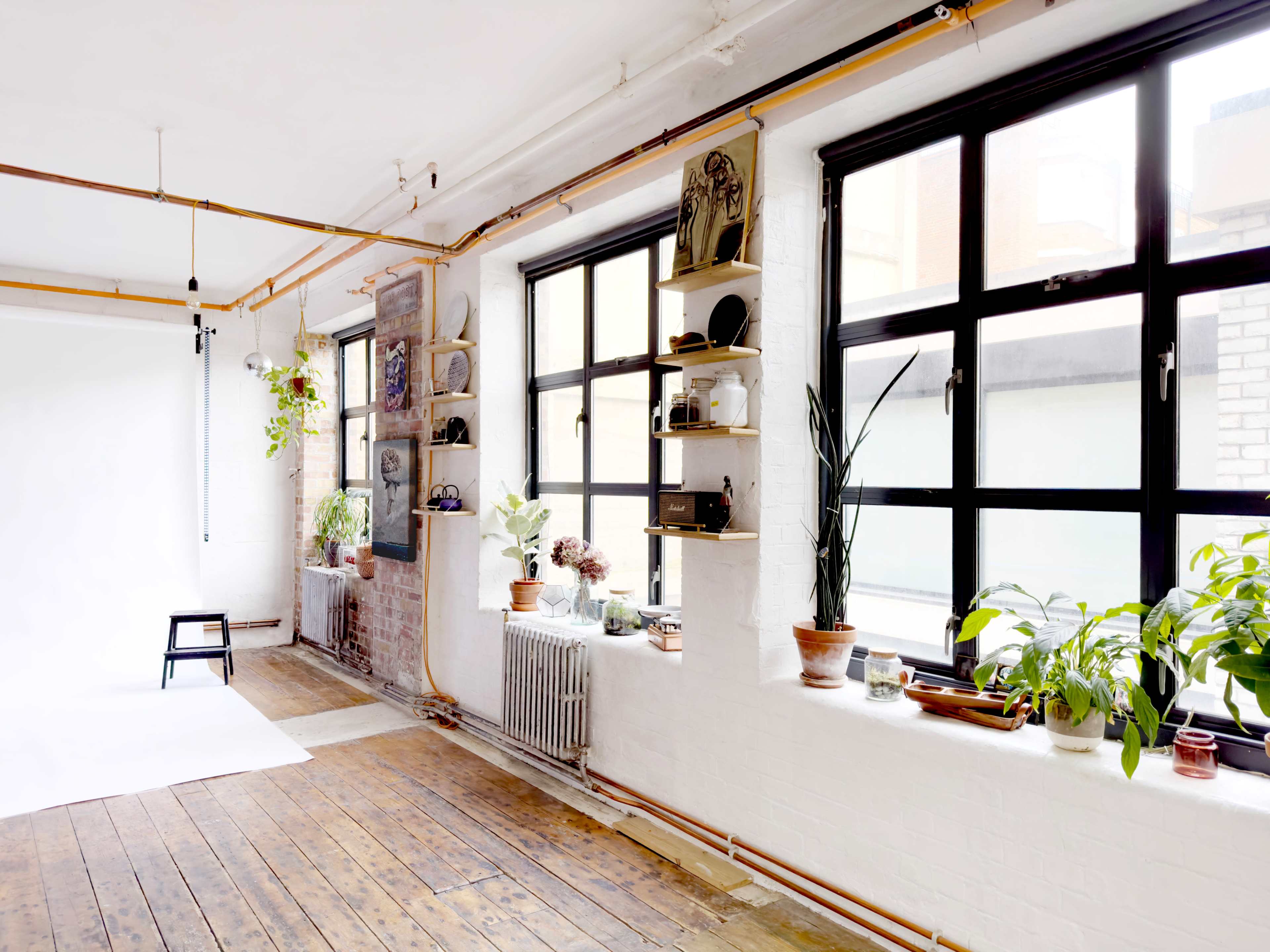 A bright, open studio space with large windows, wooden flooring, and shelves displaying various plants and decorative items.