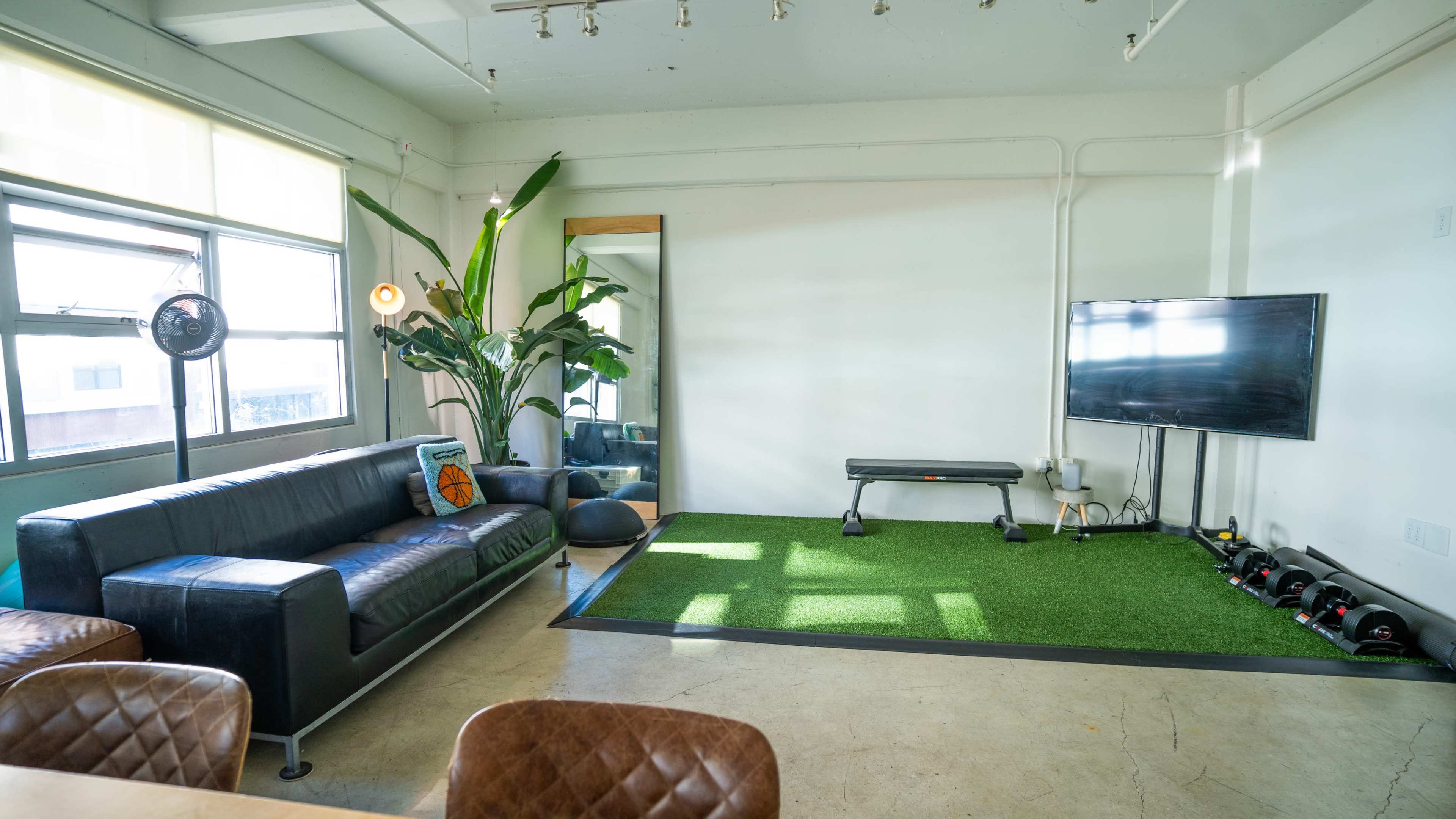 The room features a black sofa, a large mirror, a television, and a workout area with artificial grass and dumbbells.