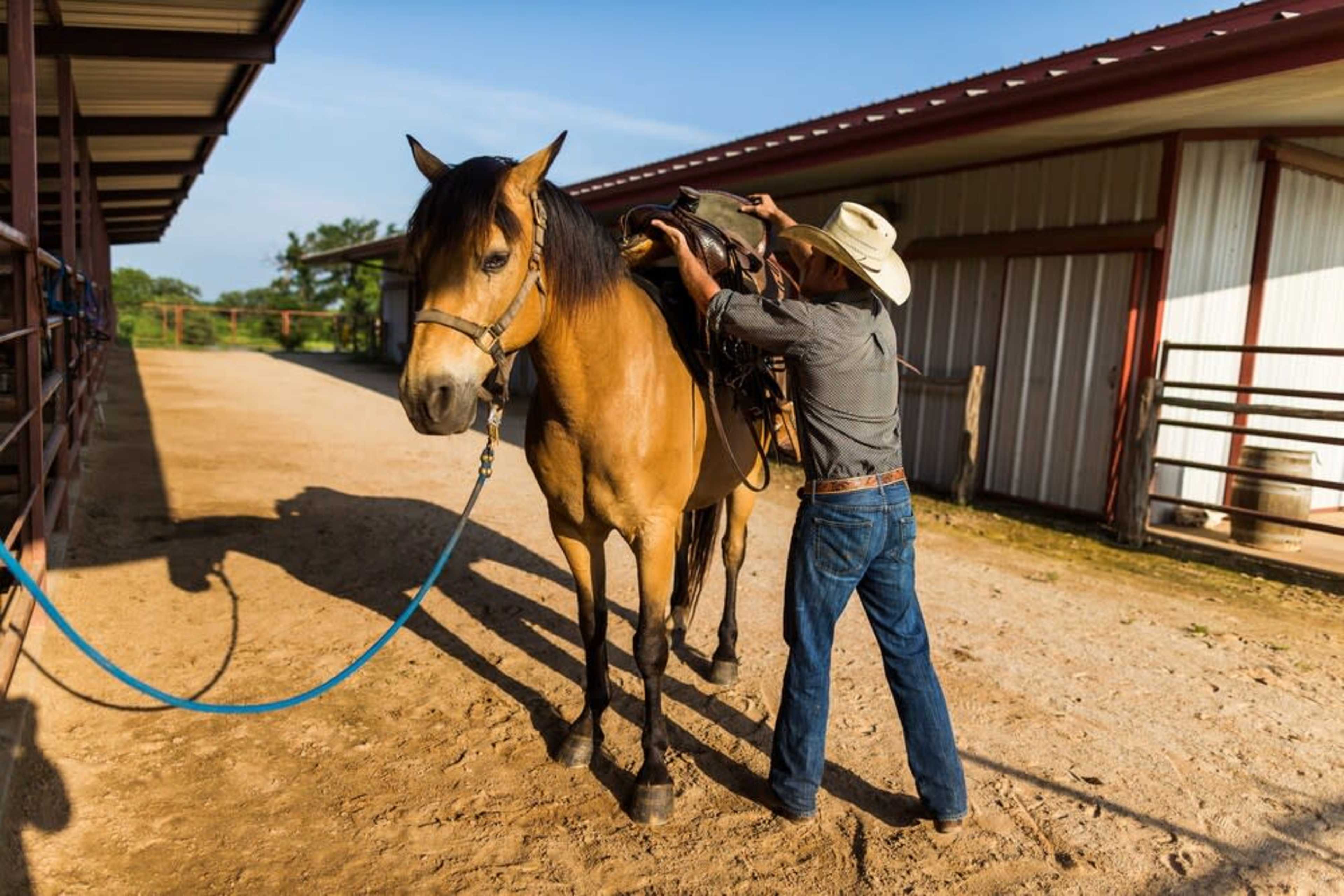 Working horse barn at Wildcatter Ranch Image in , Graham, TX