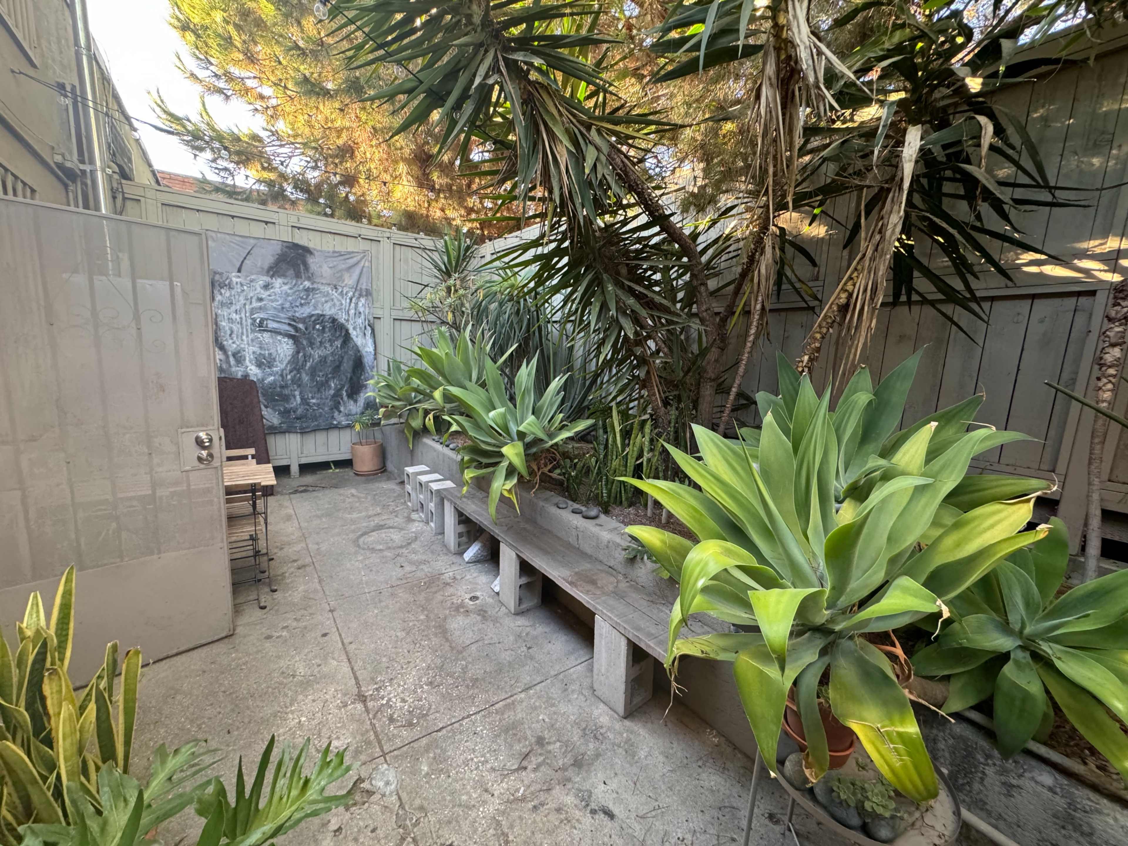 The image shows a small outdoor space featuring a concrete floor with several large potted plants and a wooden bench along the side, partially enclosed by a wall and surrounded by greenery.