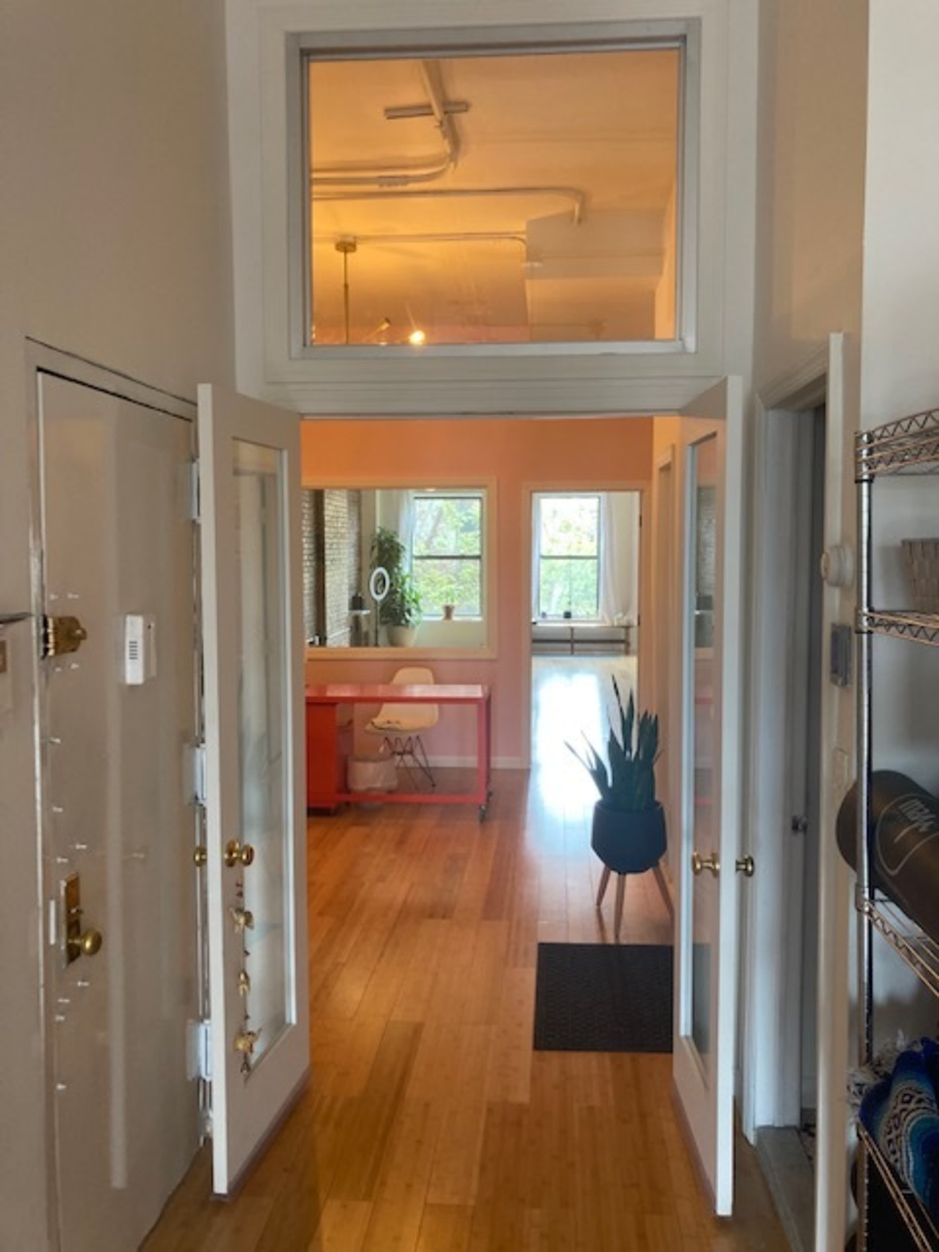 A hallway entrance leading into a brightly lit kitchen area, with an open door and a potted plant in the foreground.