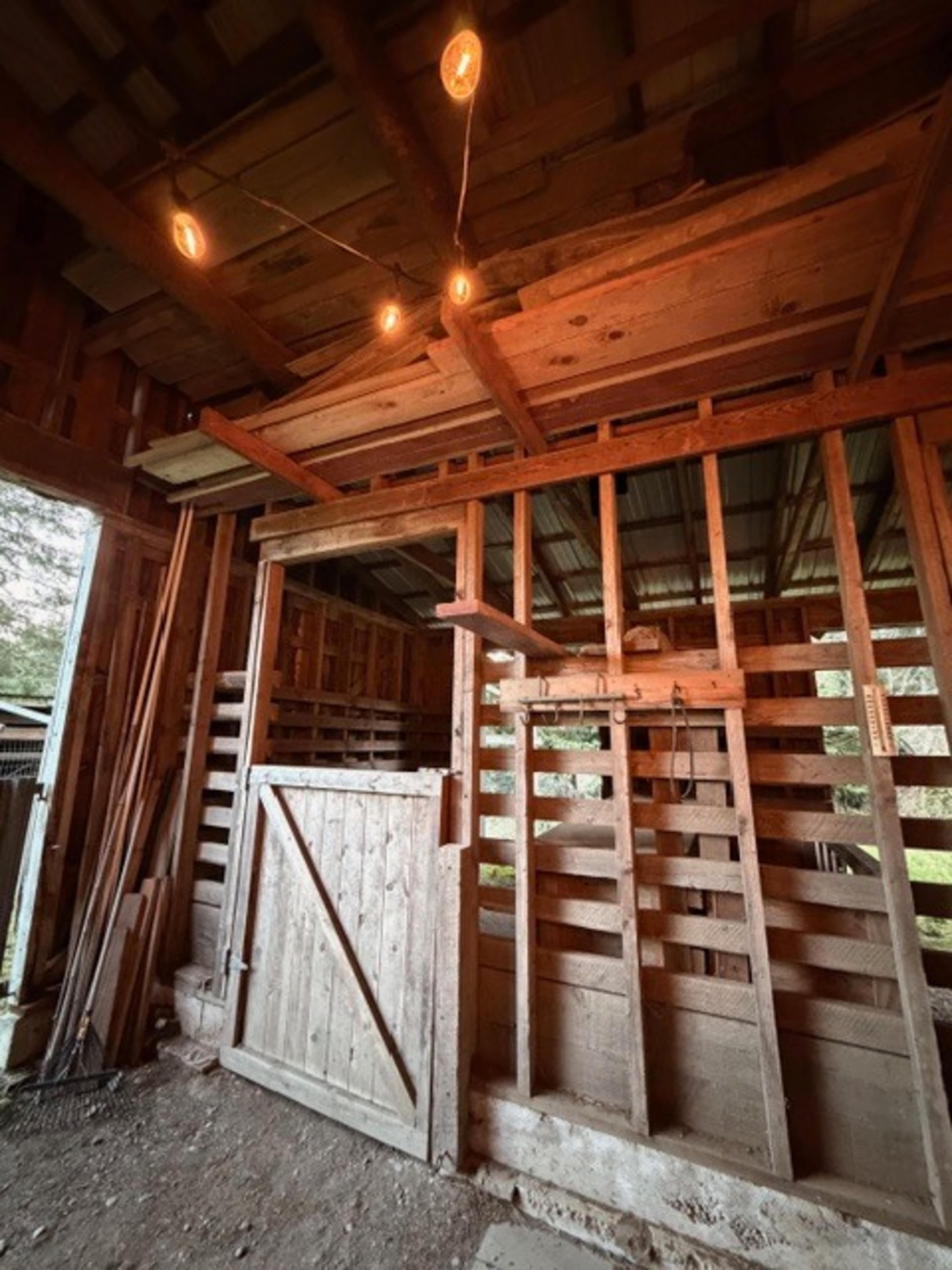 The image shows the interior of a rustic barn with wooden stalls, a wooden door, and overhead lighting.