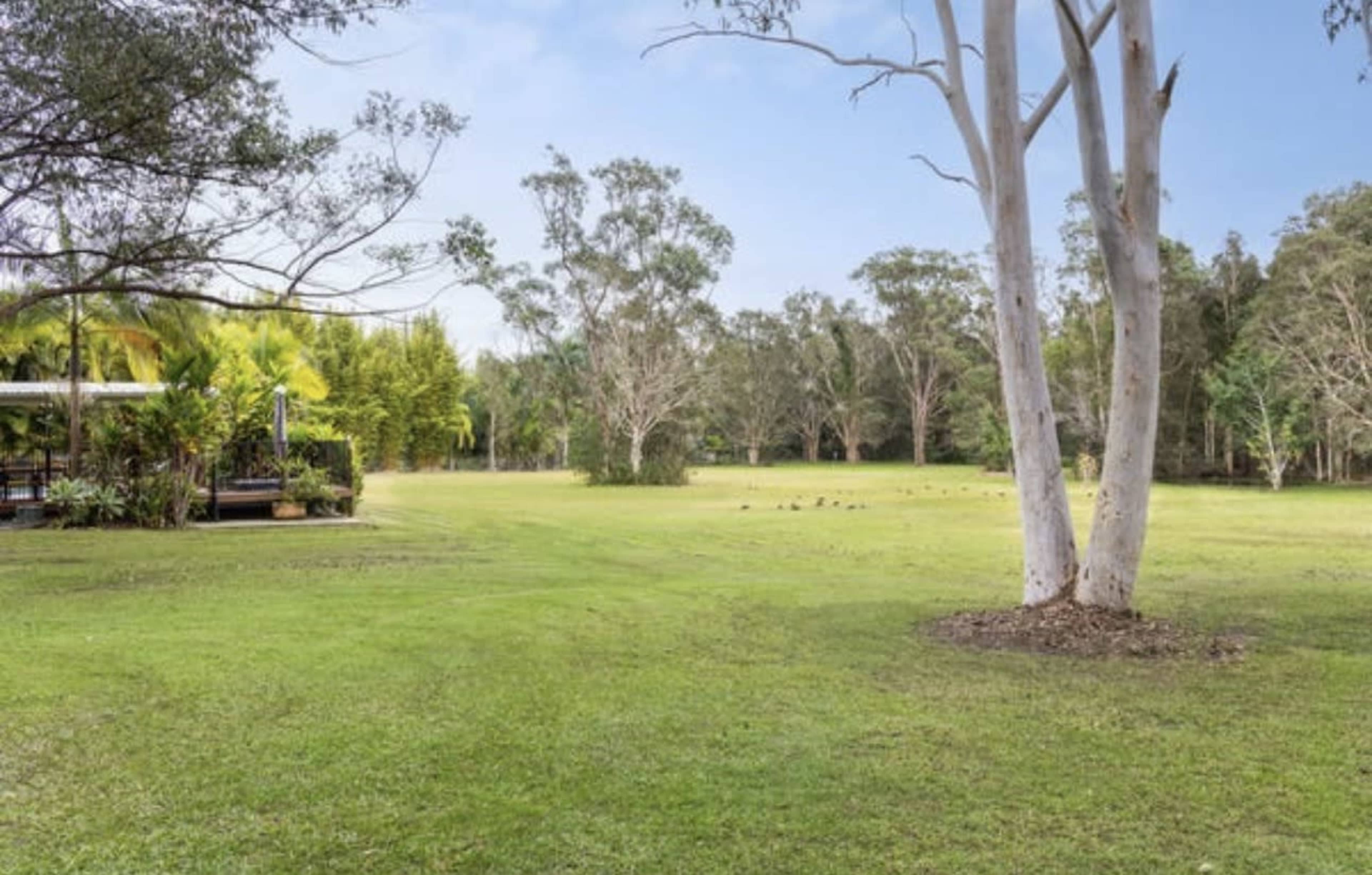 The image shows a spacious, grassy area with scattered trees and a deck in the background.